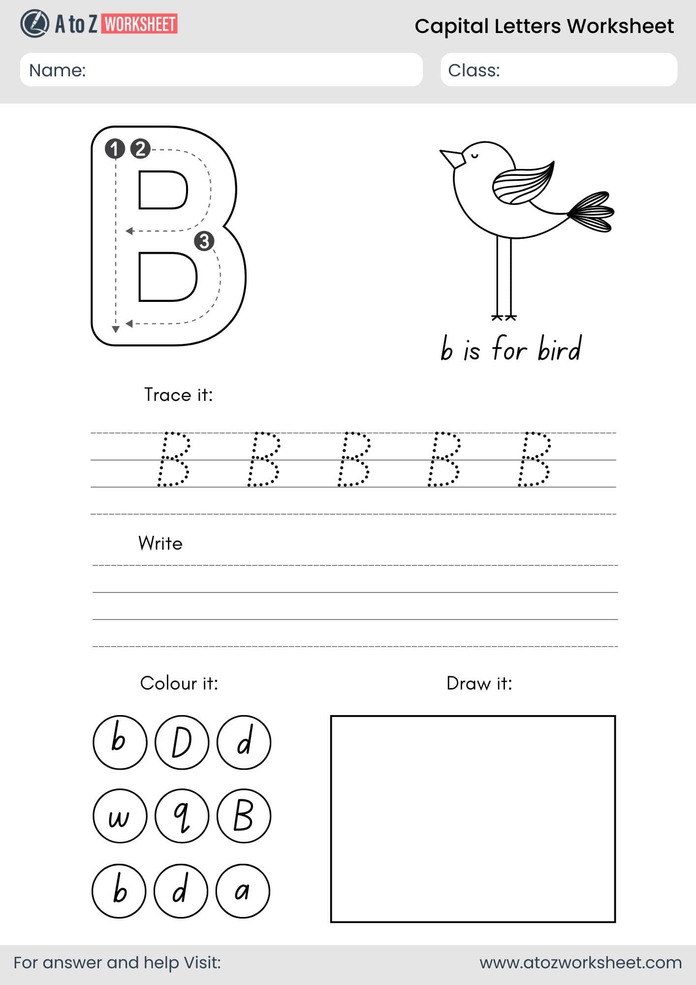 a to z capital letters worksheet- letter b