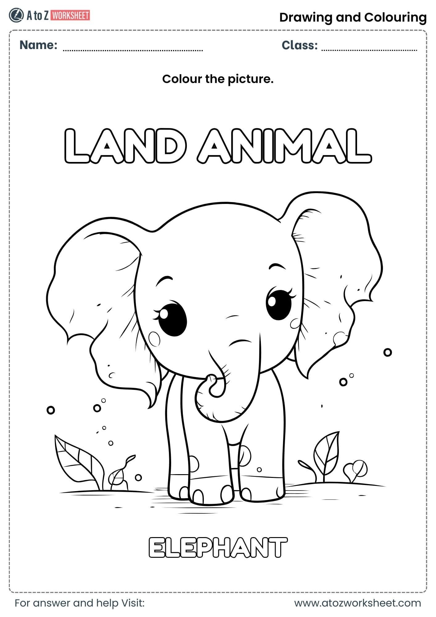 fill colors in elephant colouring worksheets ukg class 1