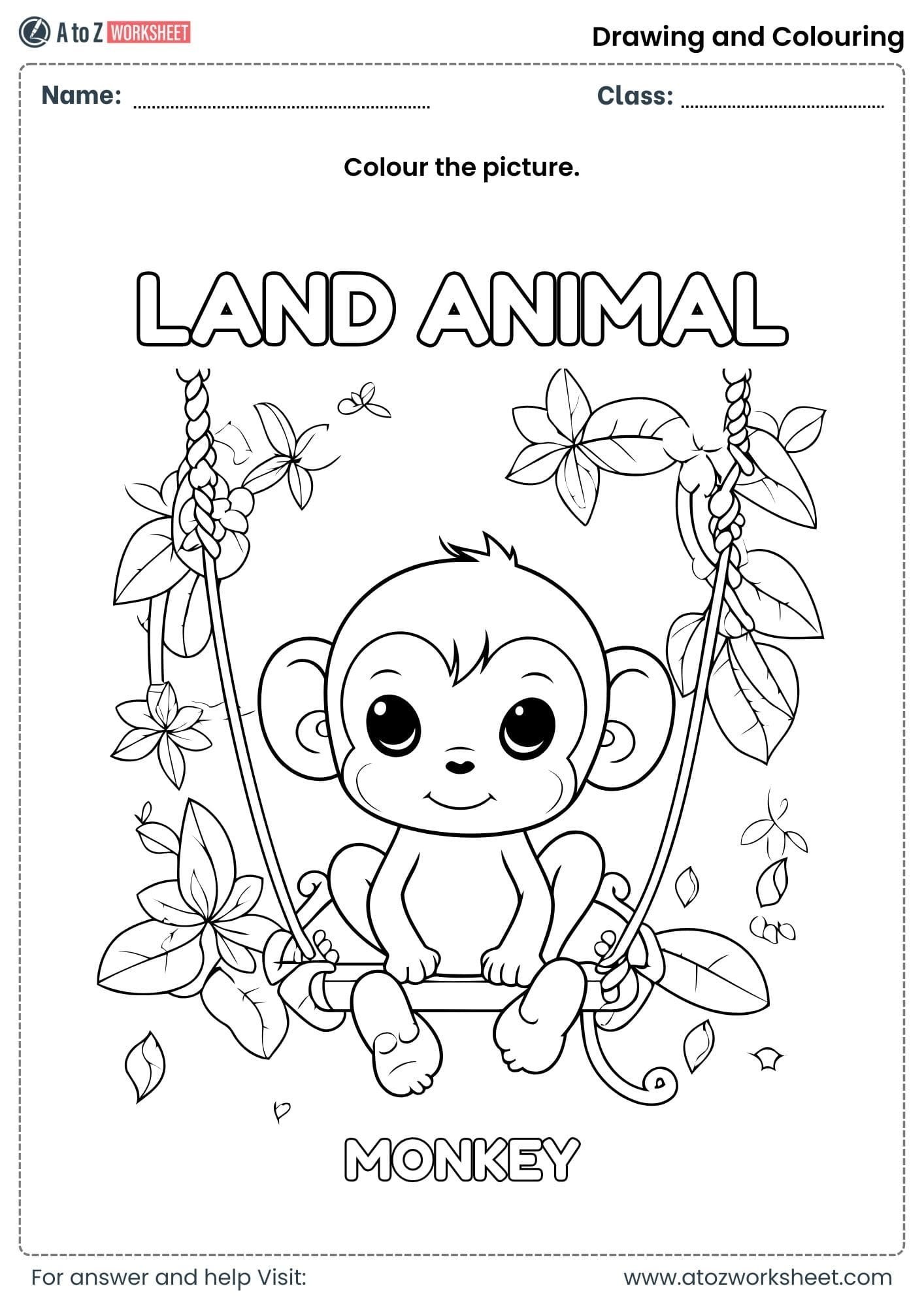 fill colors in monkey colouring worksheets kindergarten