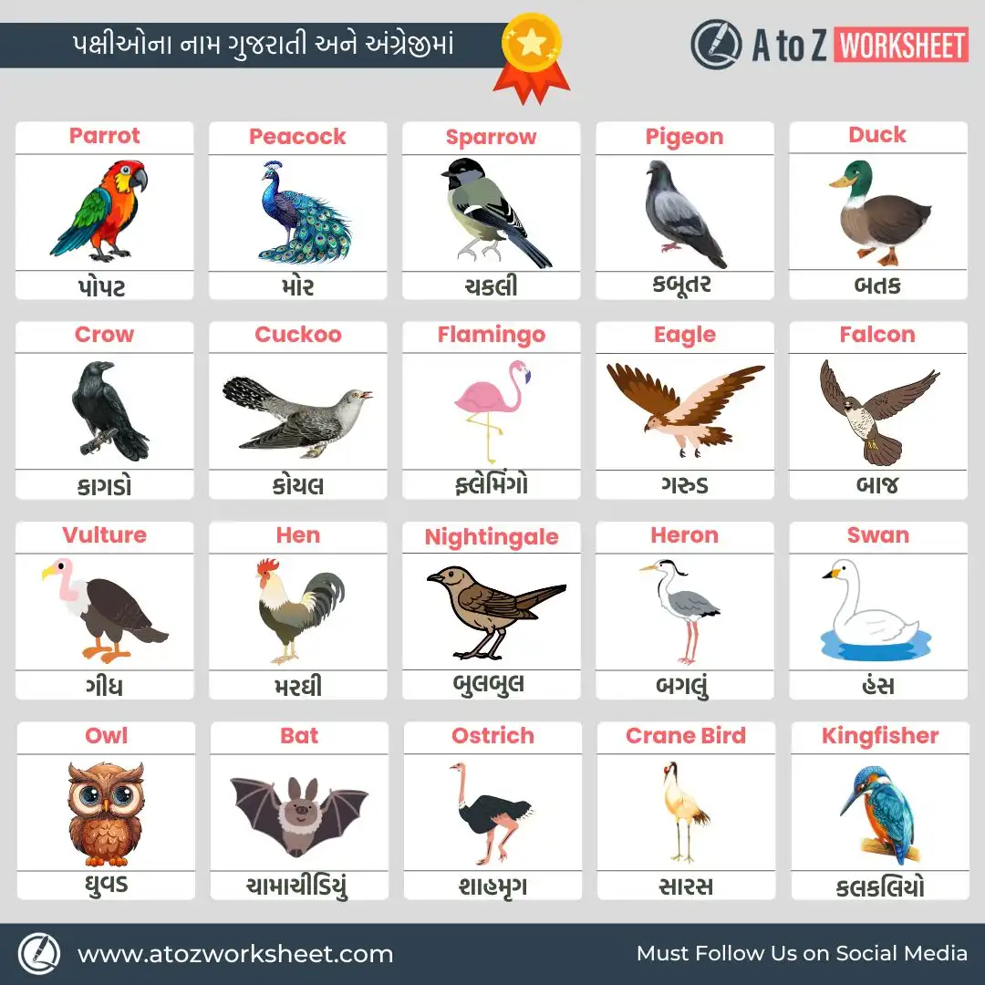 birds name in gujarati and english