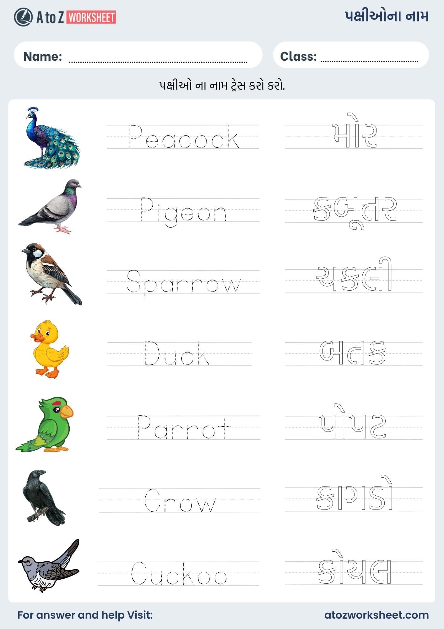 birds name in gujarati and worksheet for kids