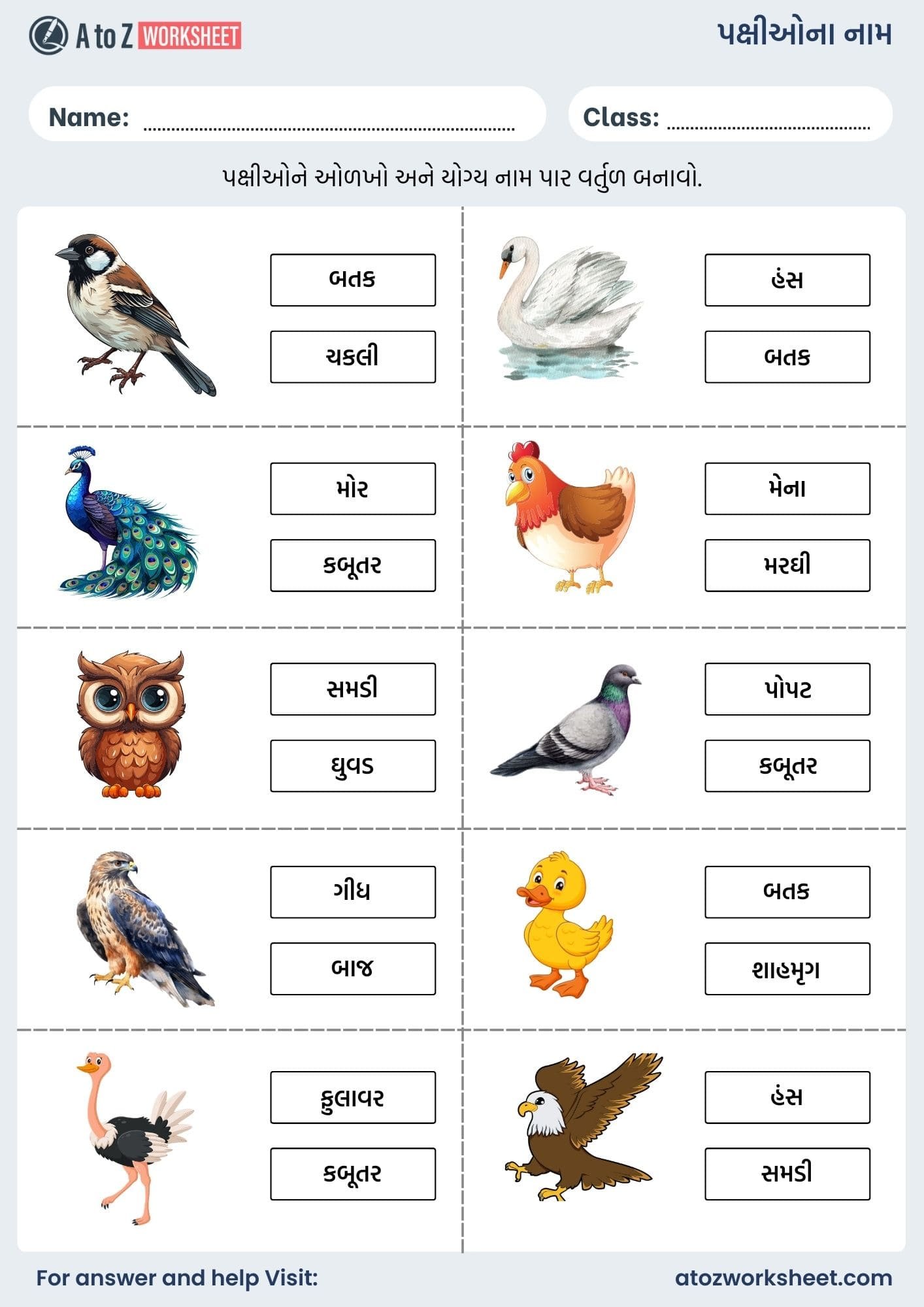 birds name in gujarati and worksheet for kids