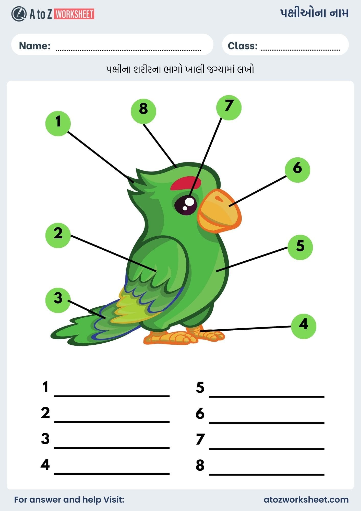 birds name in gujarati and worksheet for kids