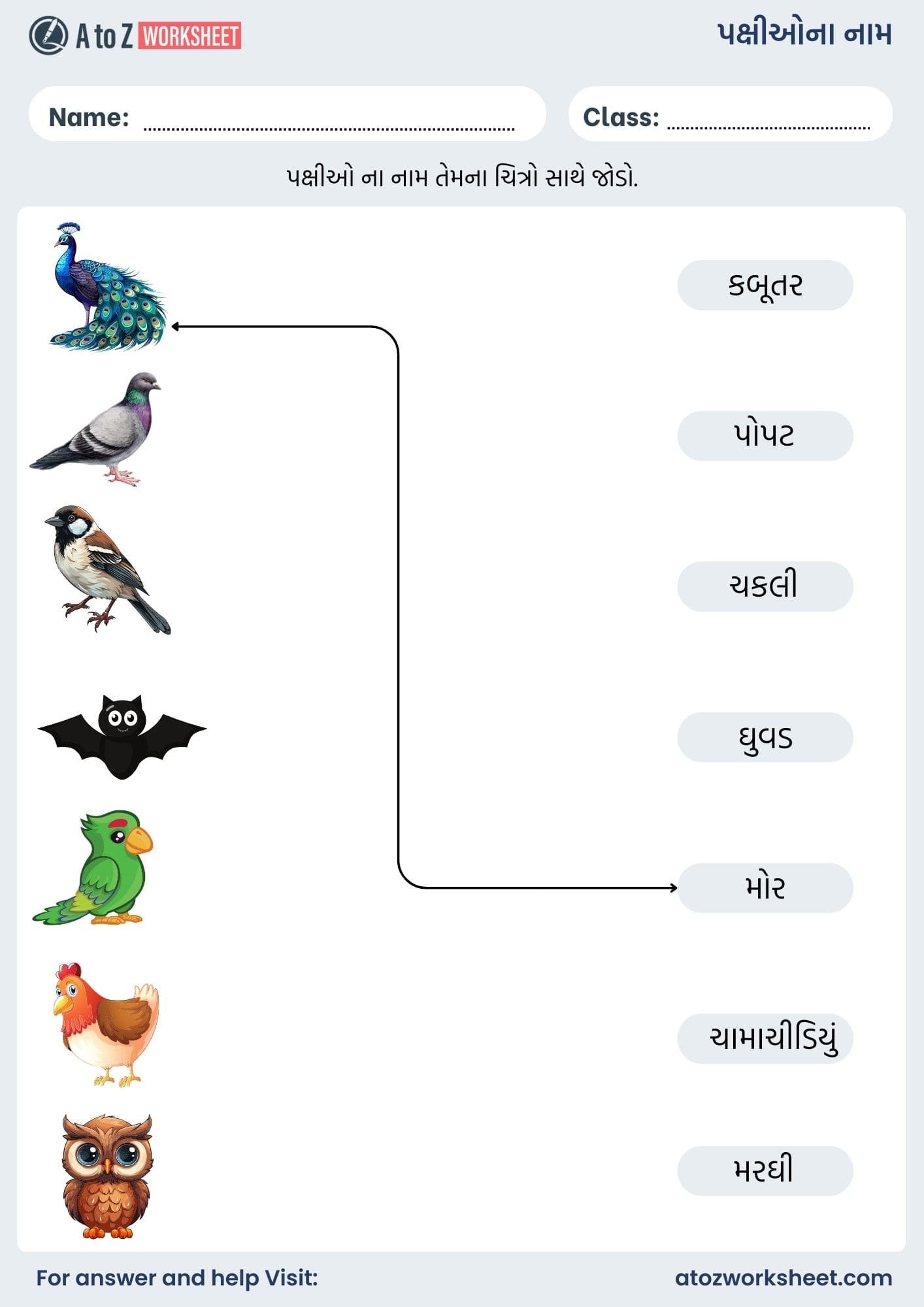 birds name in gujarati and worksheet for kids