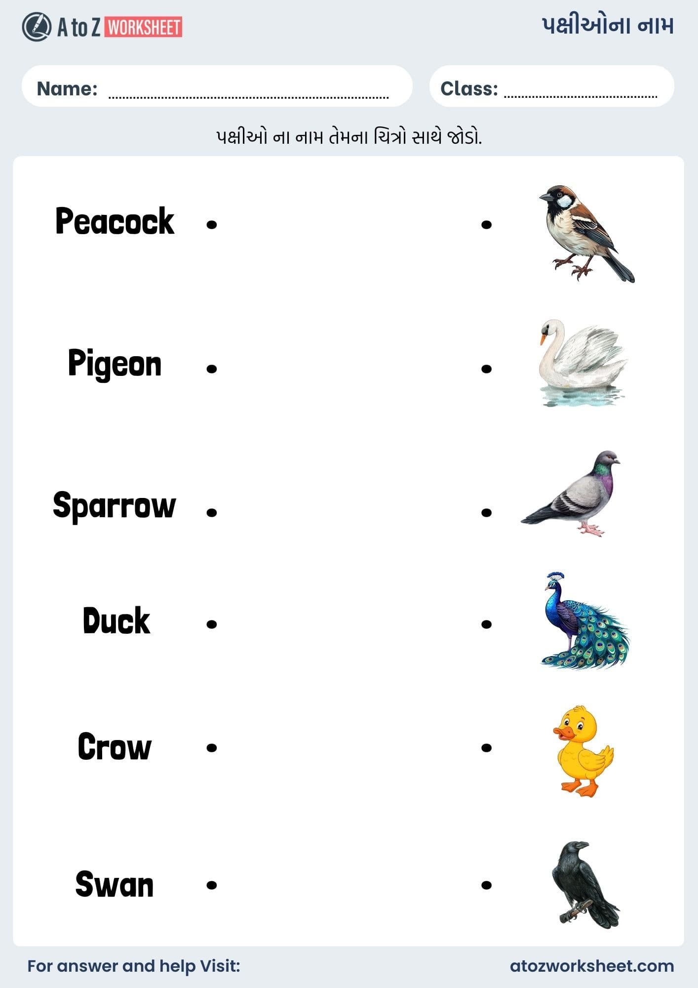 birds name in gujarati and worksheet for kids