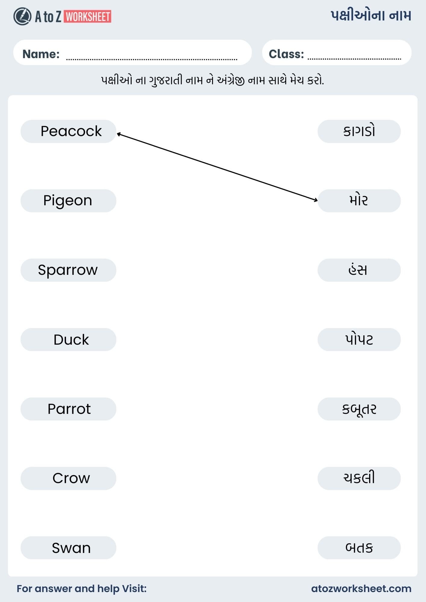 birds name in gujarati and worksheet for kids