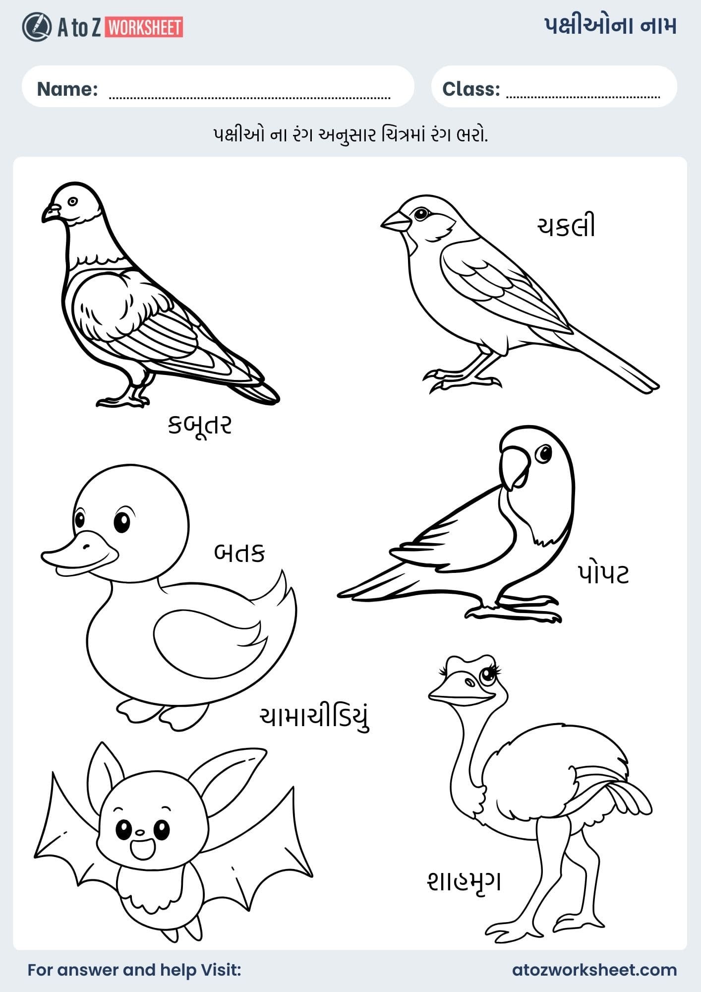 birds name in gujarati and worksheet for kids