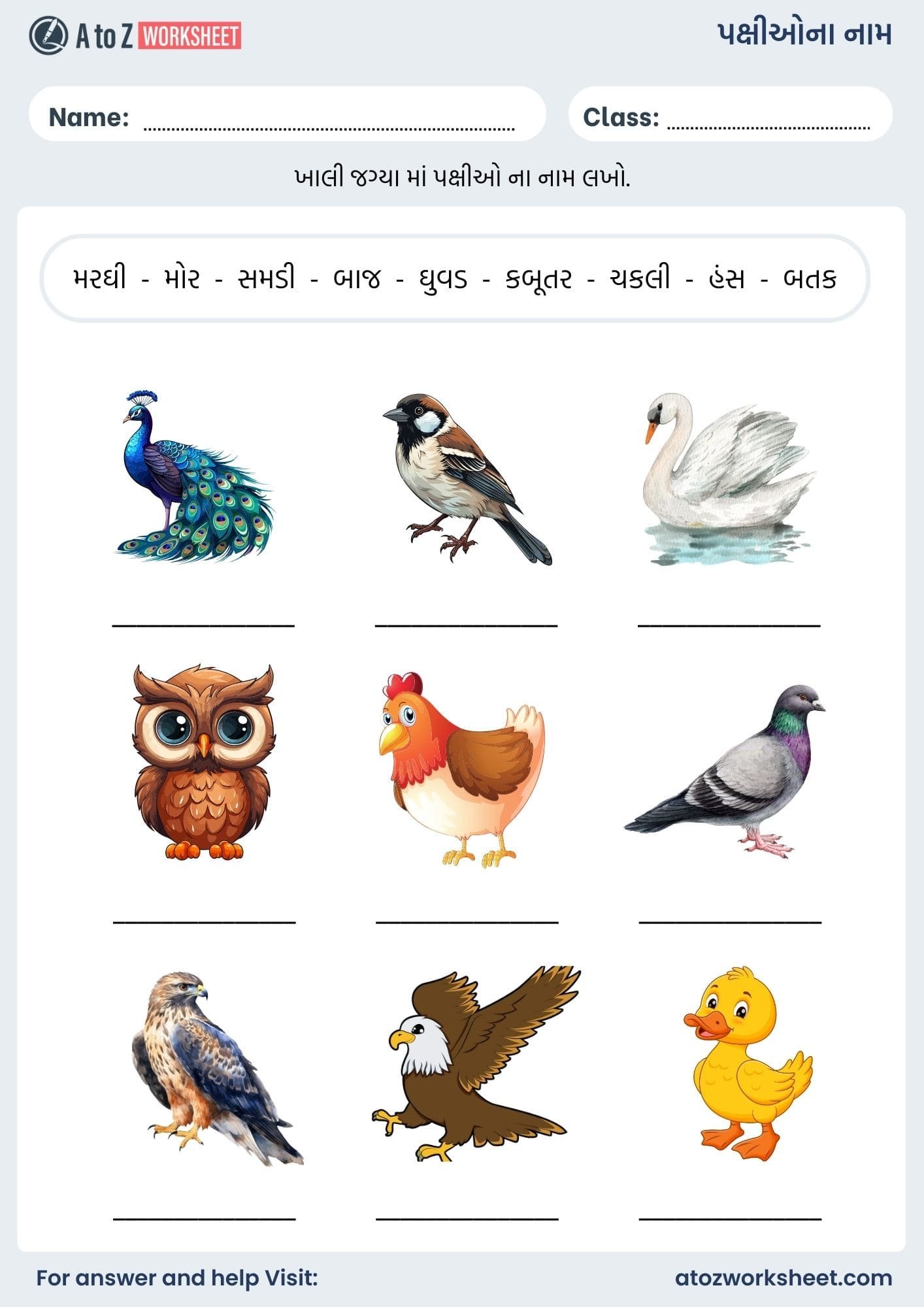 birds name in gujarati and worksheet for kids