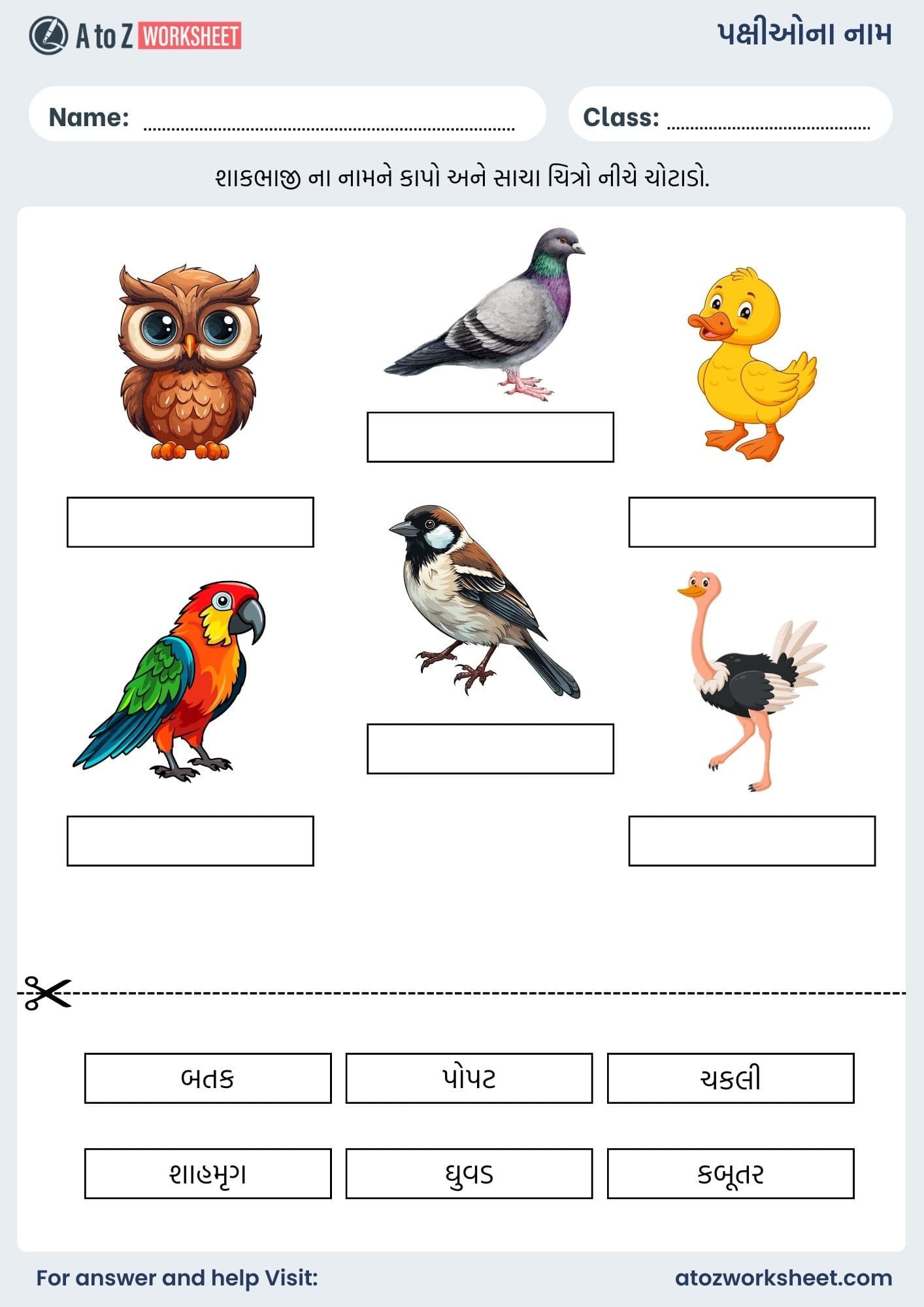 birds name in gujarati and worksheet for kids