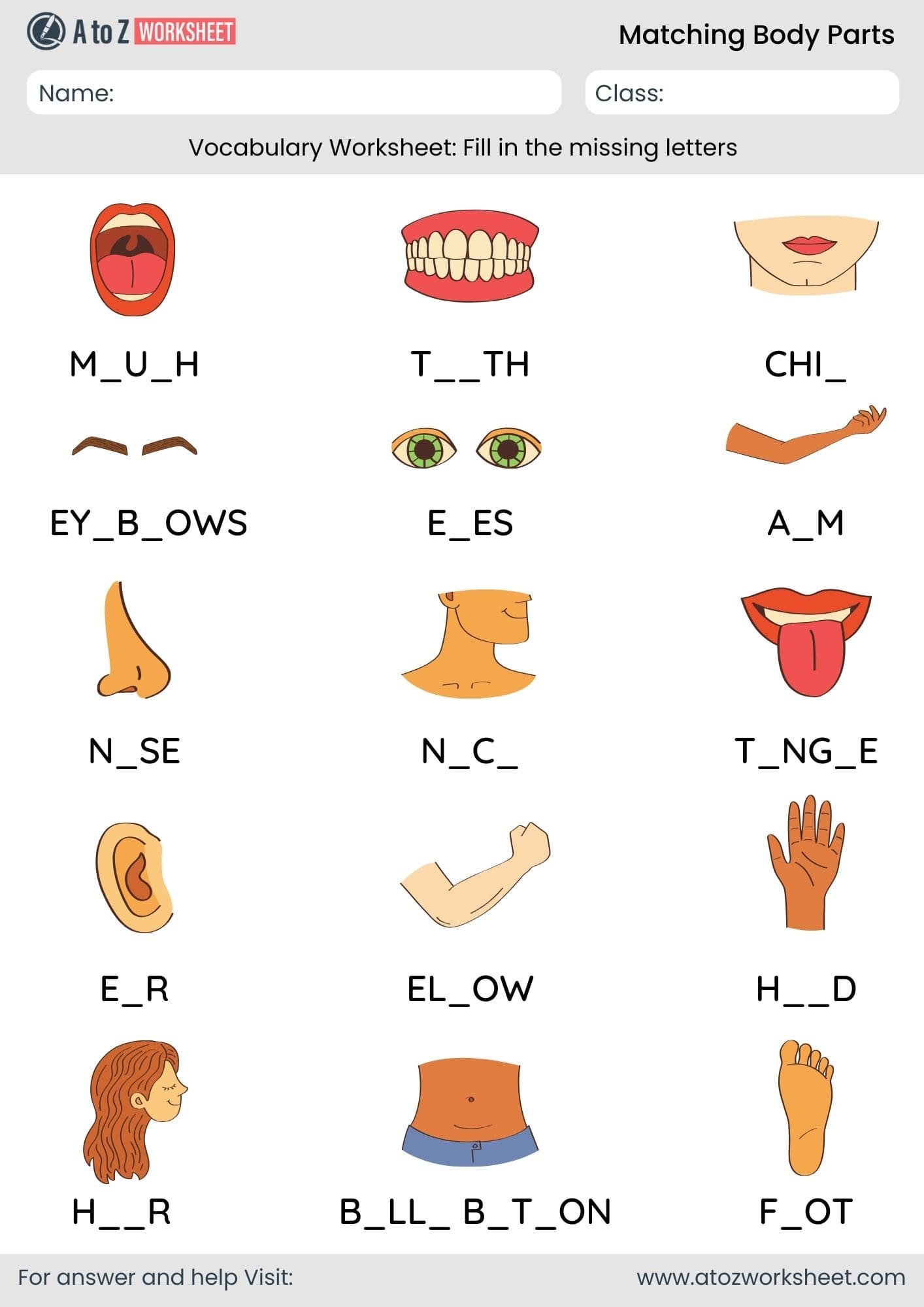 body parts matching worksheet