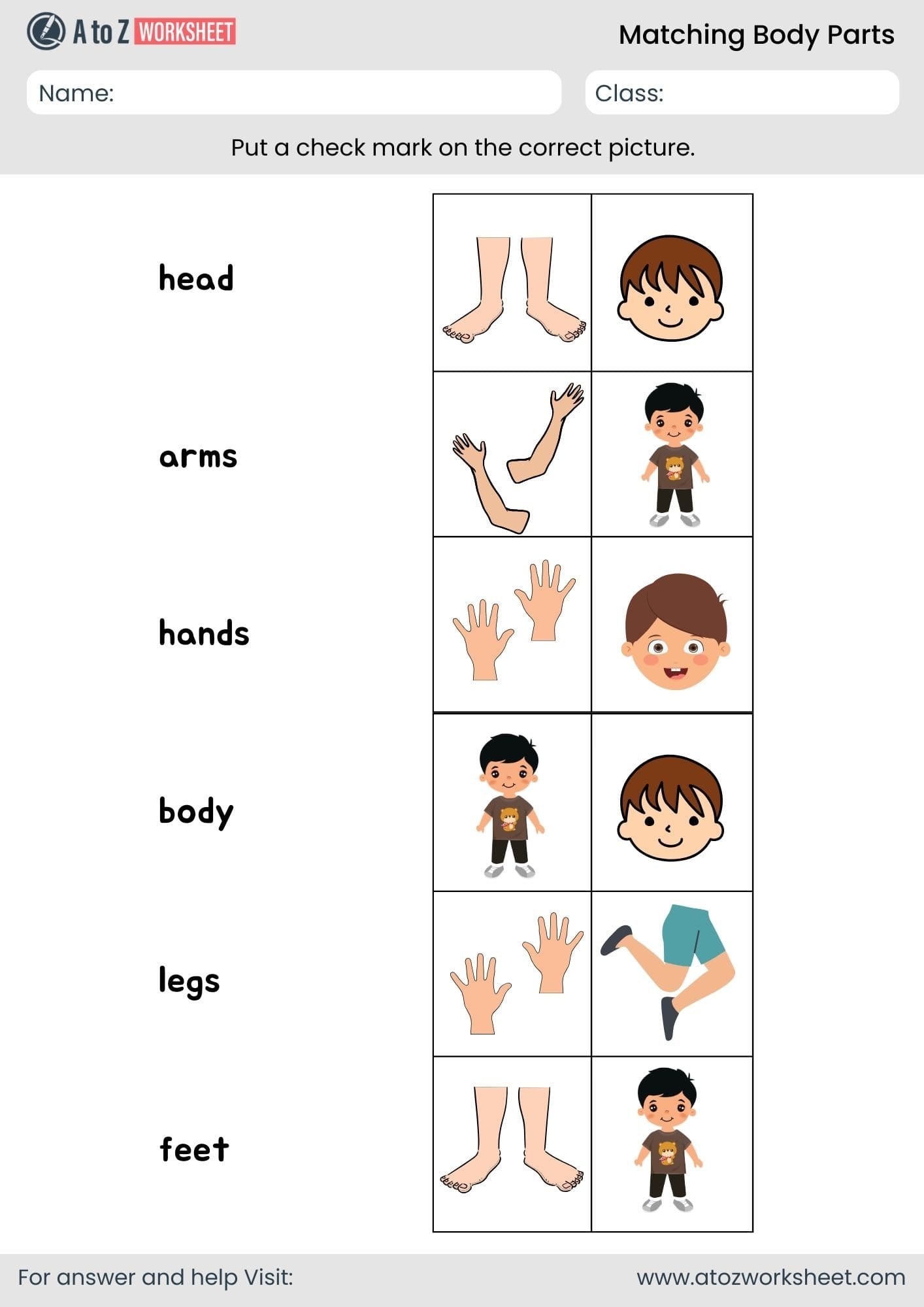 body parts matching worksheet