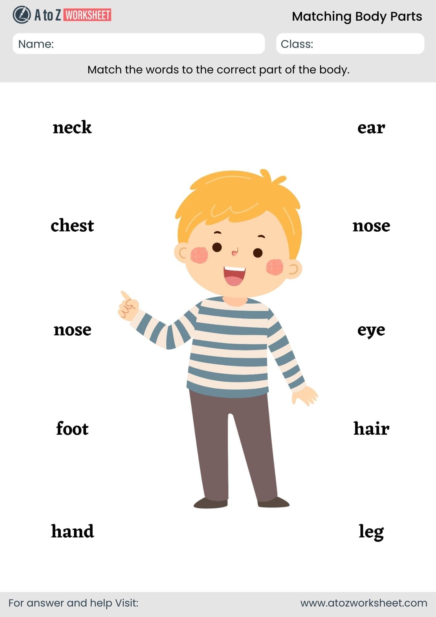 body parts matching worksheet