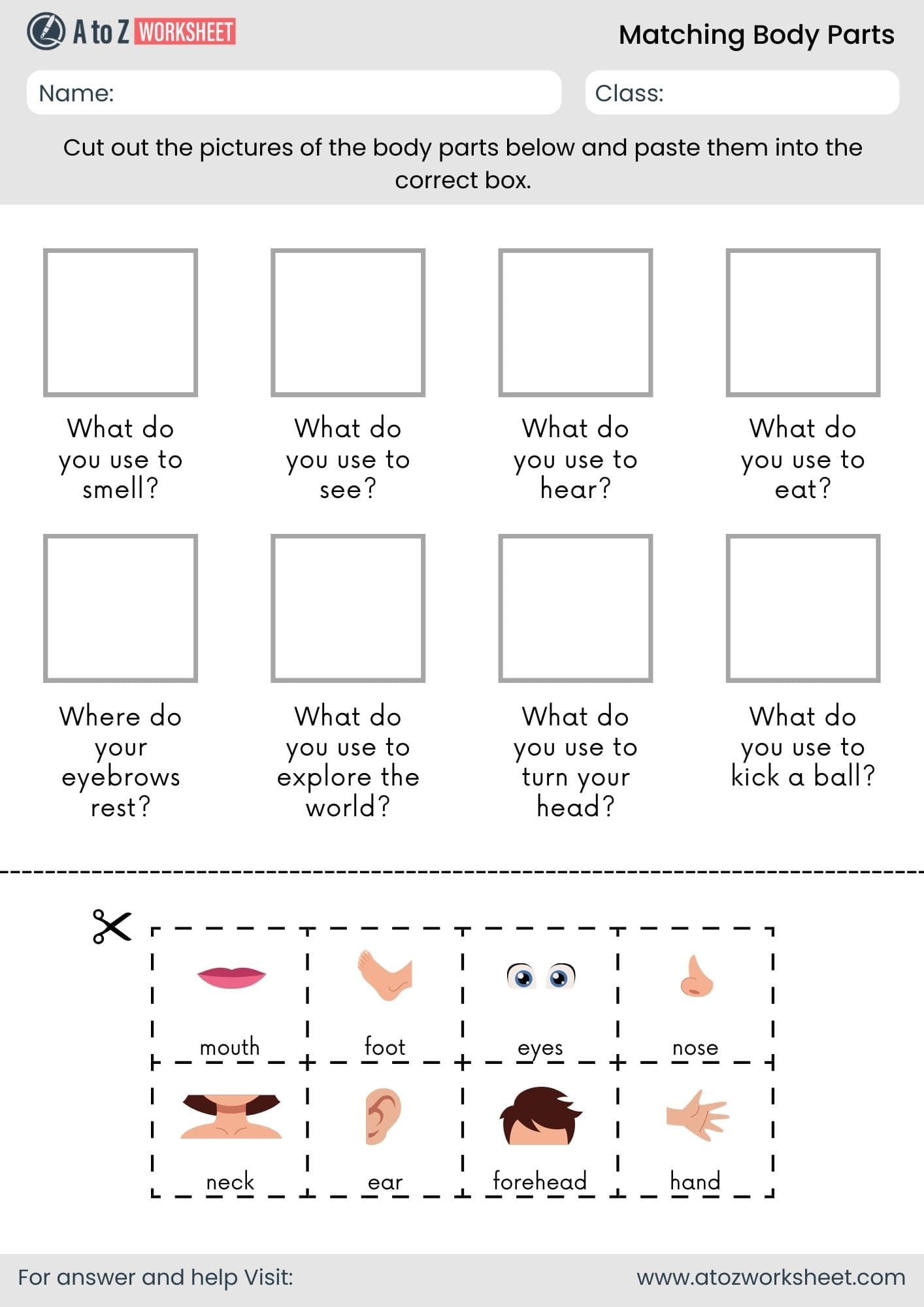 body parts matching worksheet