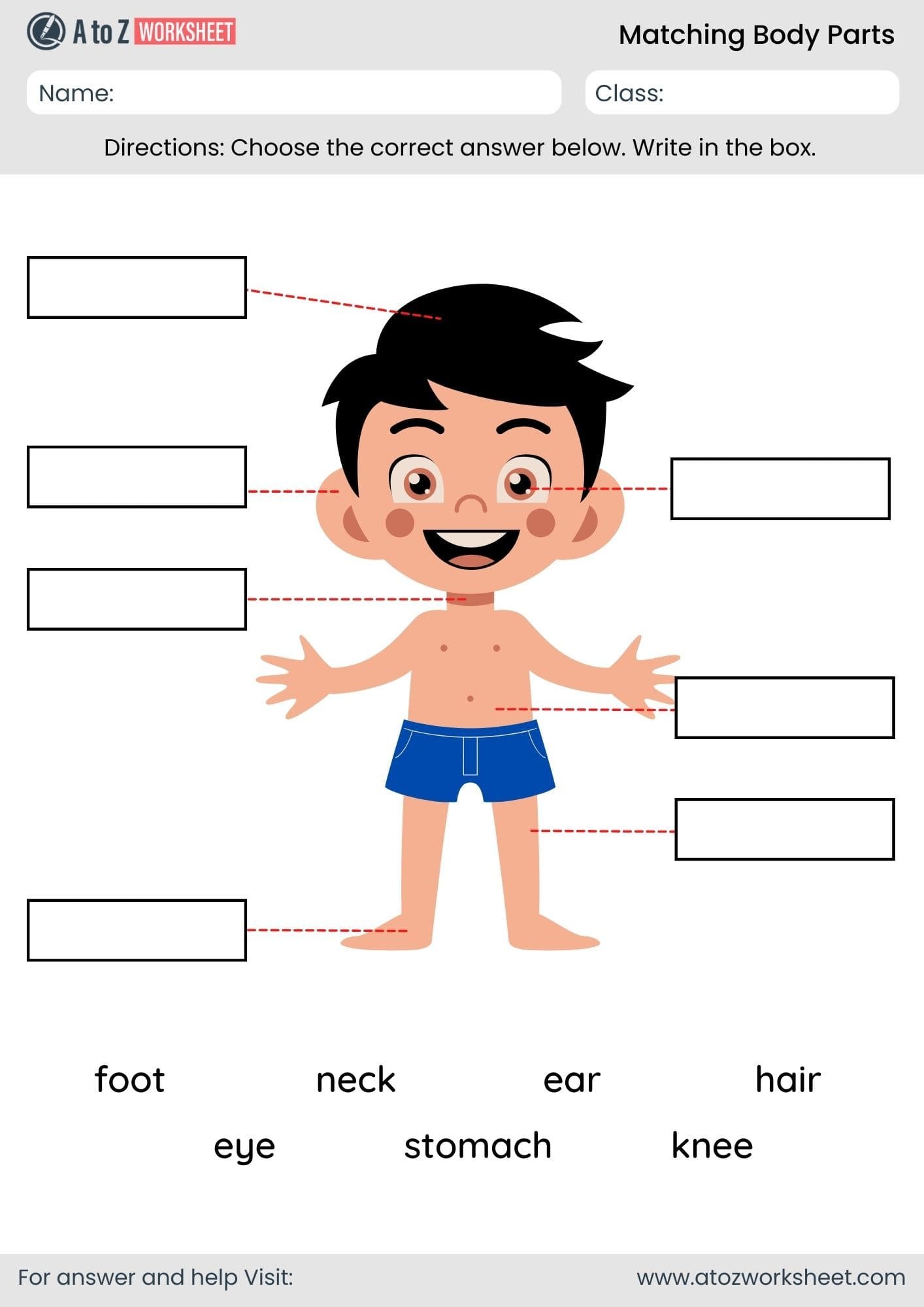 body parts matching worksheet