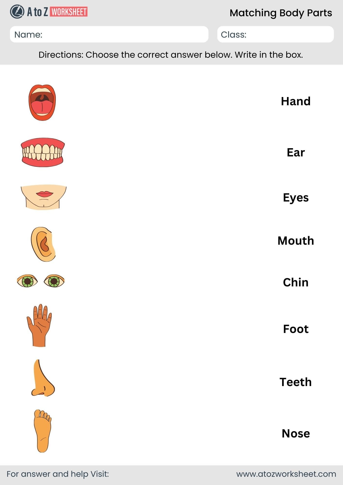 body parts matching worksheet