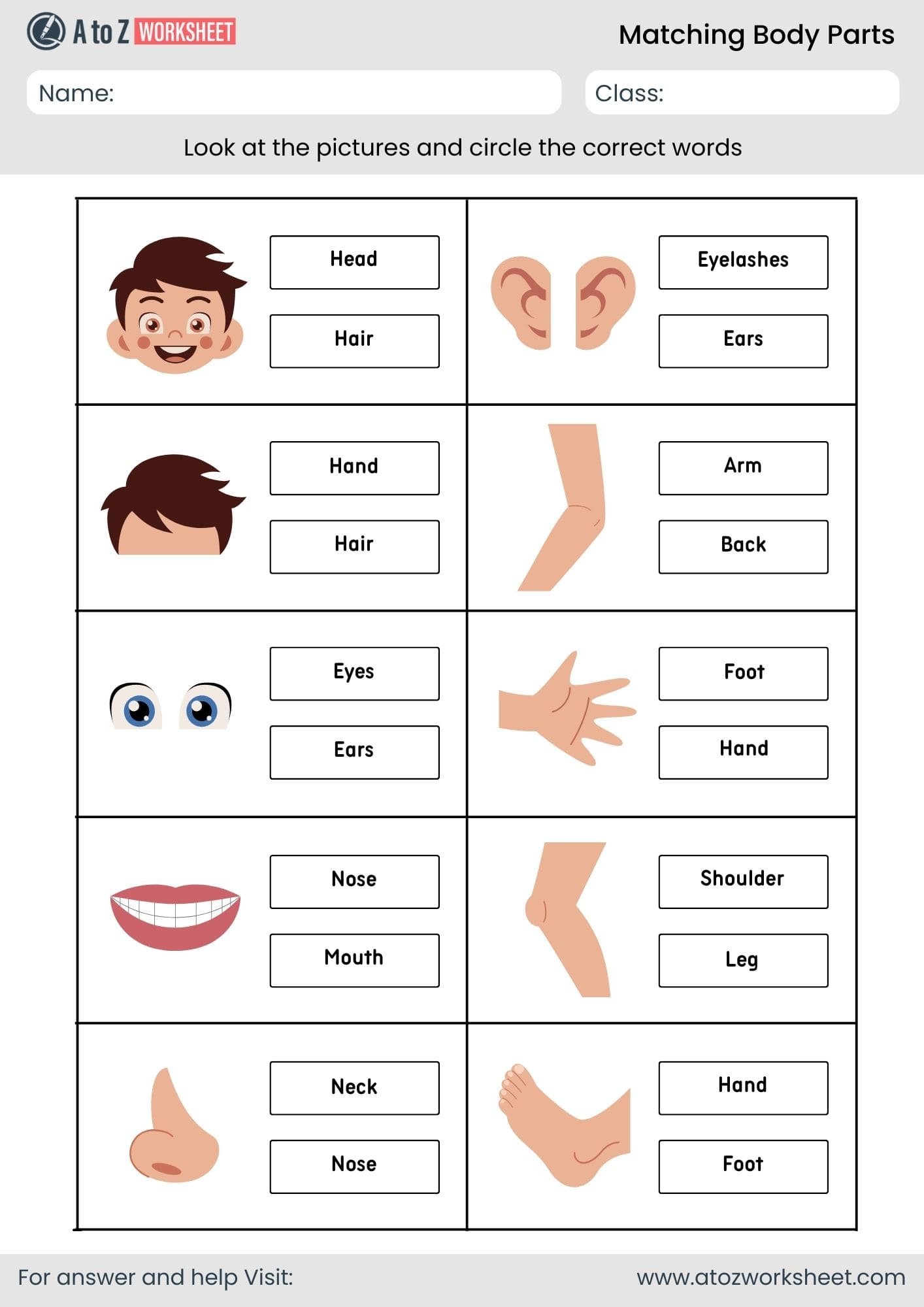 body parts matching worksheet