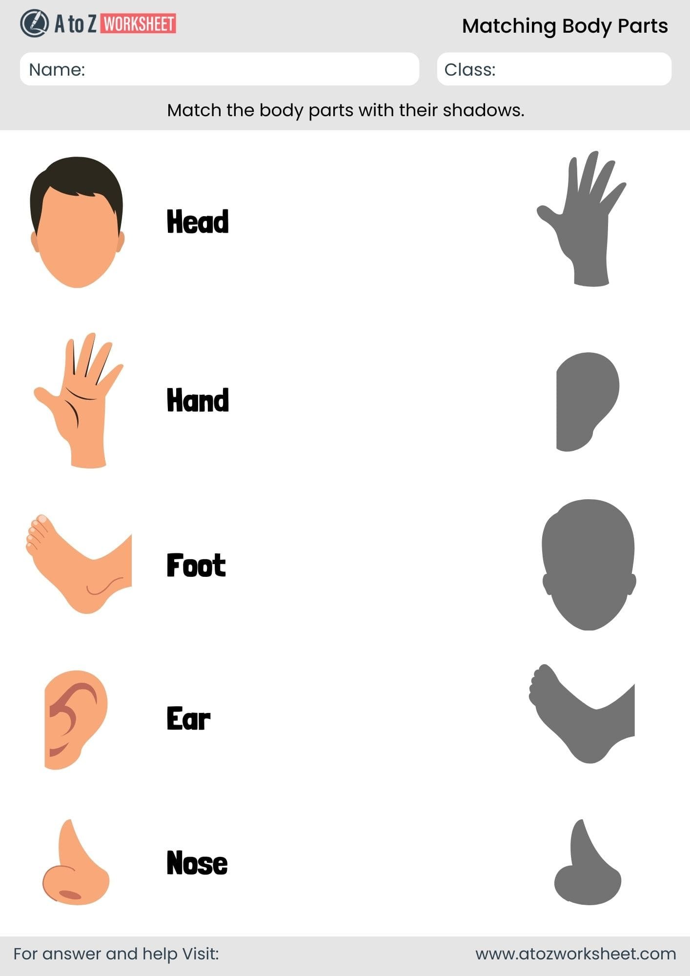 body parts matching worksheet