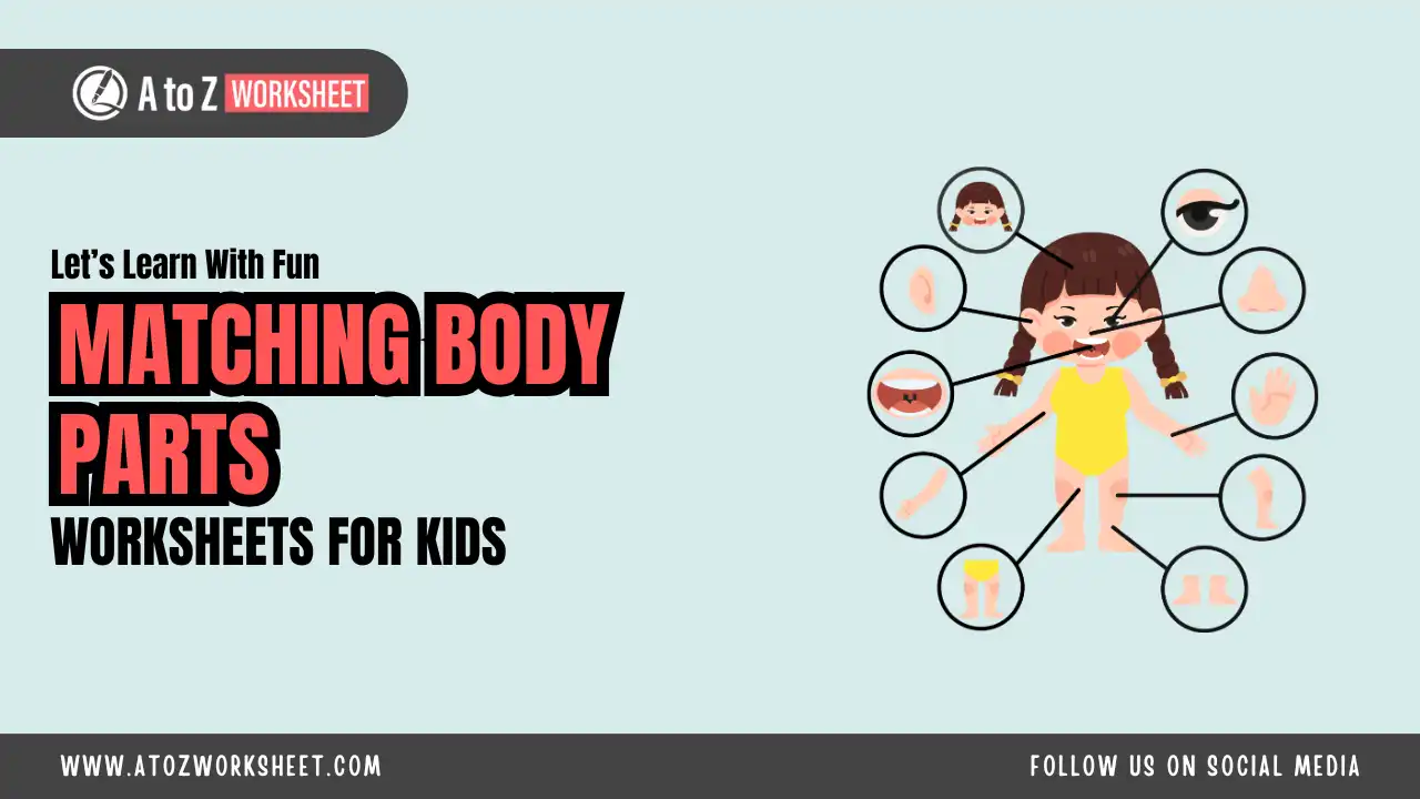 body parts matching worksheet for kids