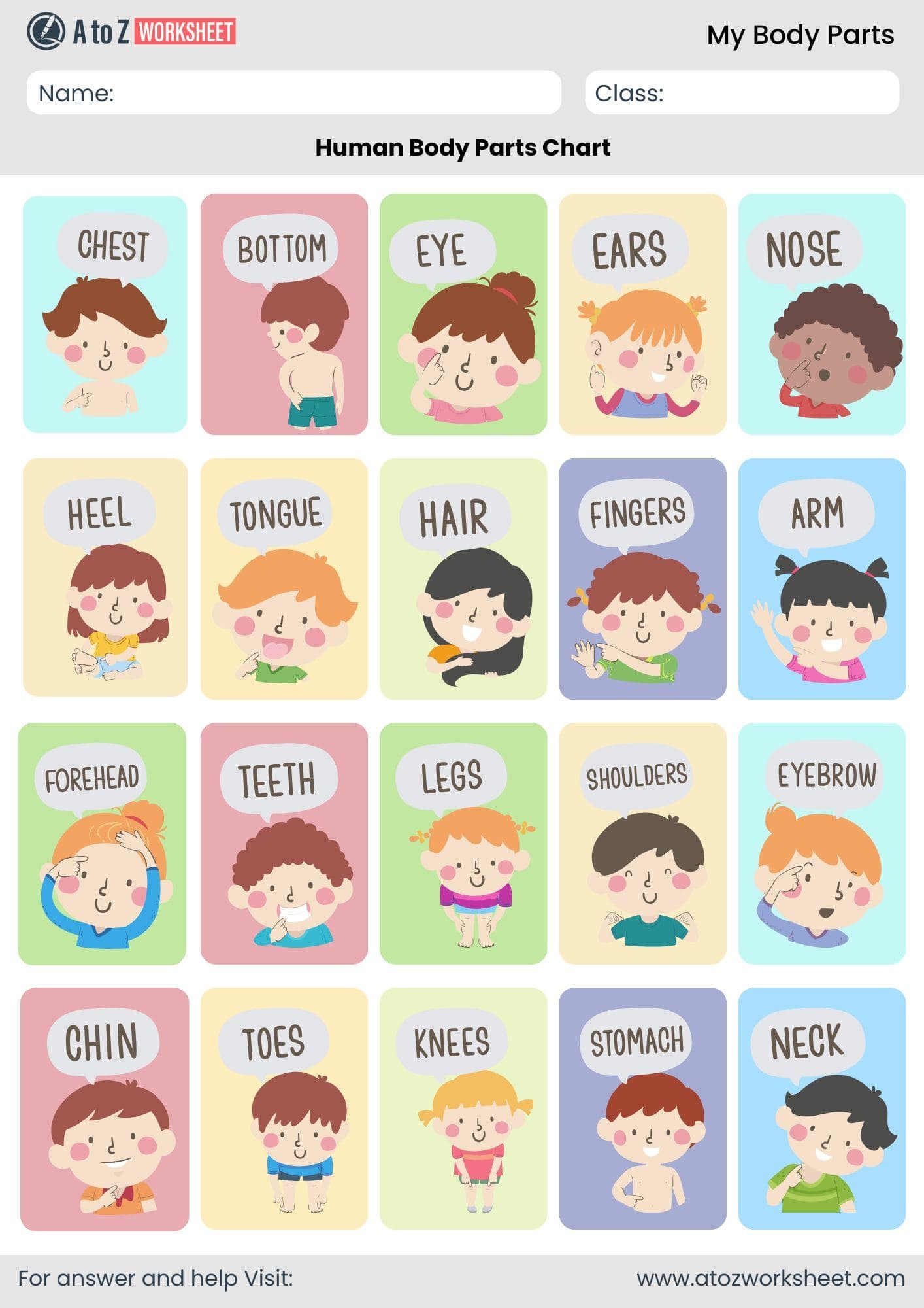 body parts name chart