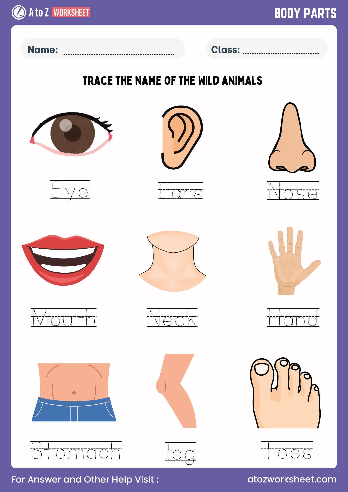 Printable Body Parts Worksheet Udlvirtual esad edu br Printable Body Parts Worksheet Udlvirtual esad edu br
