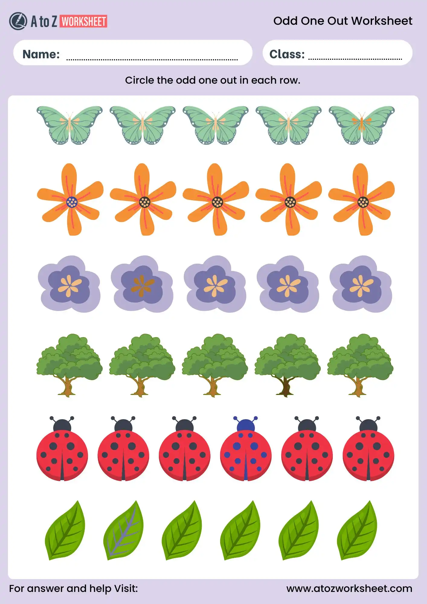 circle the odd one out worksheet with butterflies trees leaves and insects