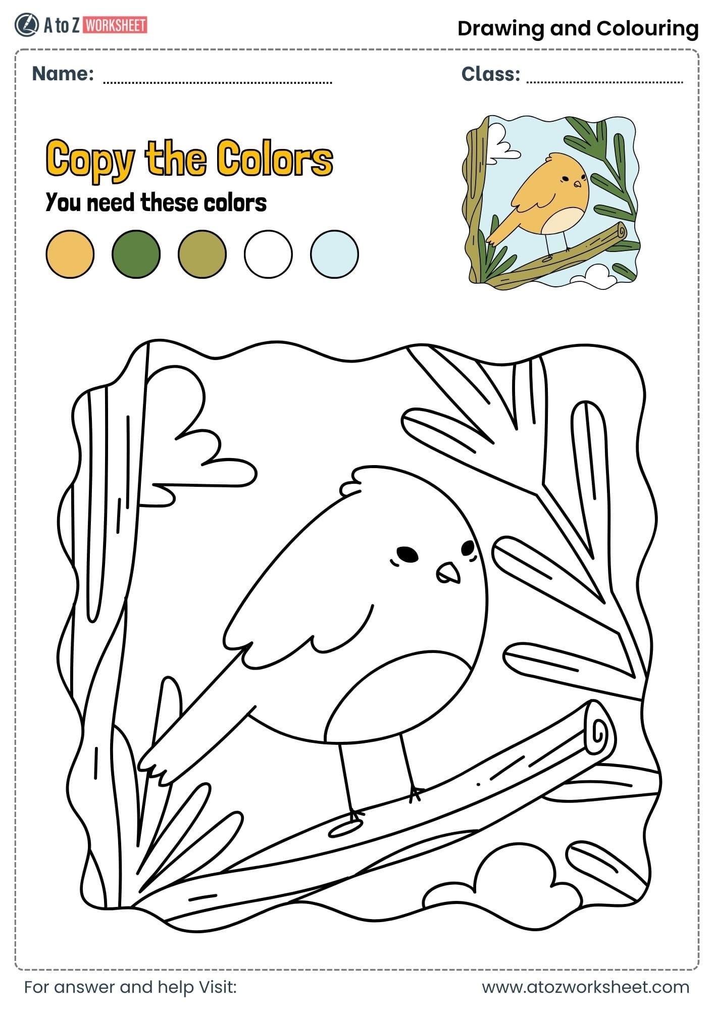 copy colors worksheets for class 1