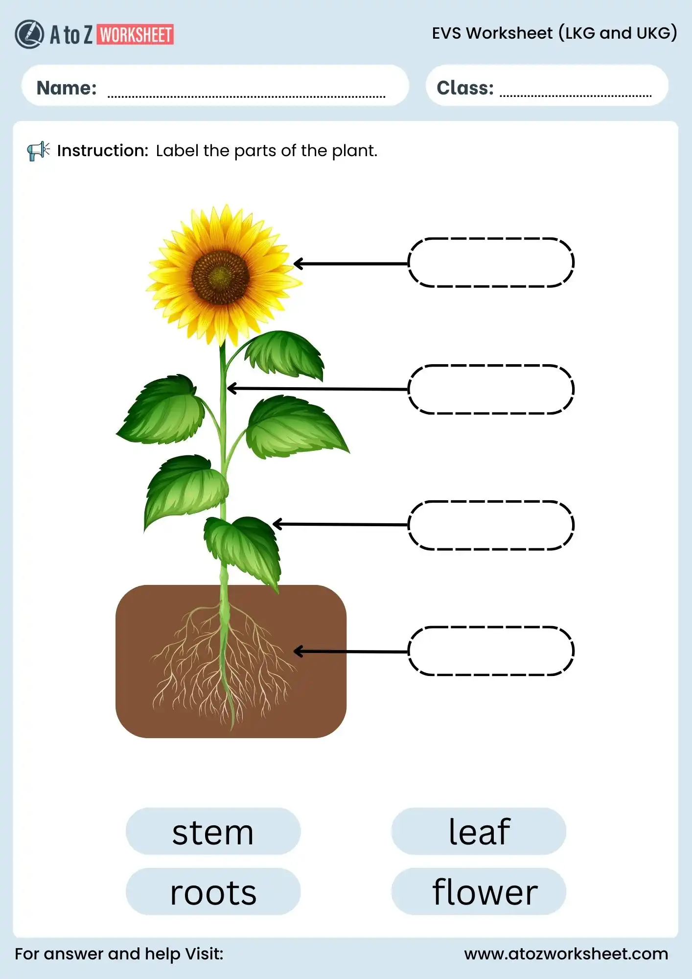 evs worksheet for lkg and ukg parts of plant labeling