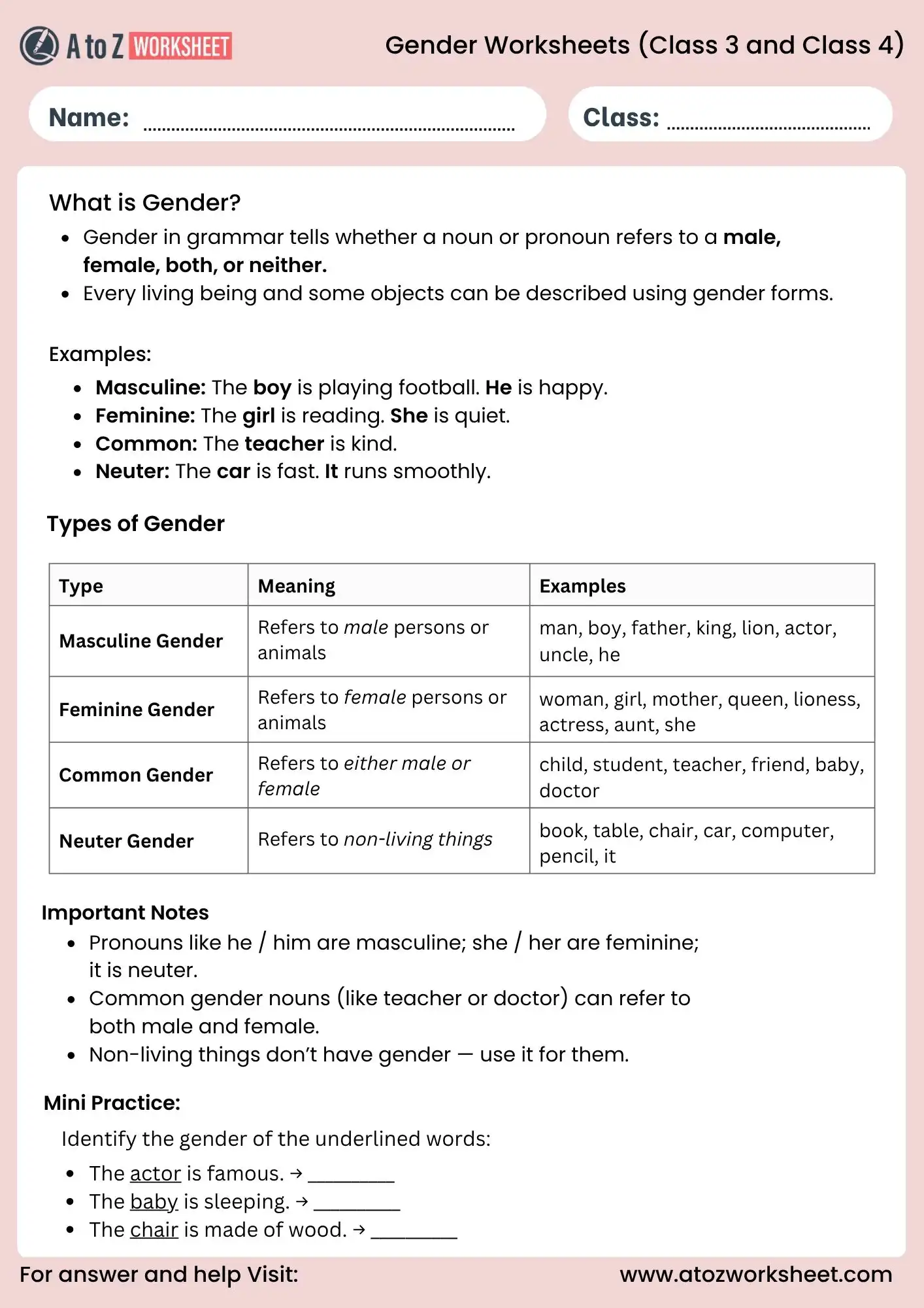 gender worksheets for class 3 and class 4 grammar chart