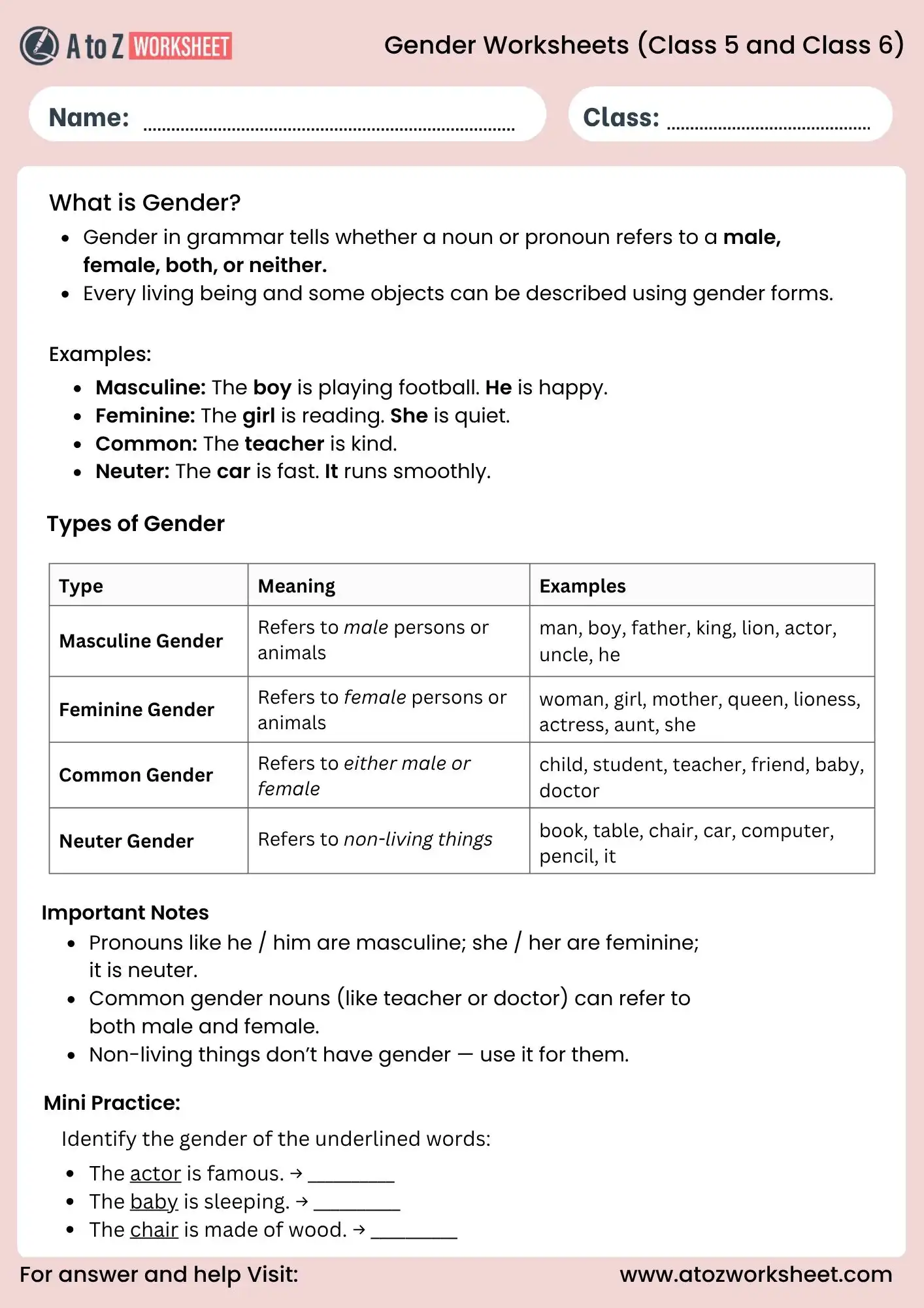 gender worksheets for class 5 and class 6 grammar chart