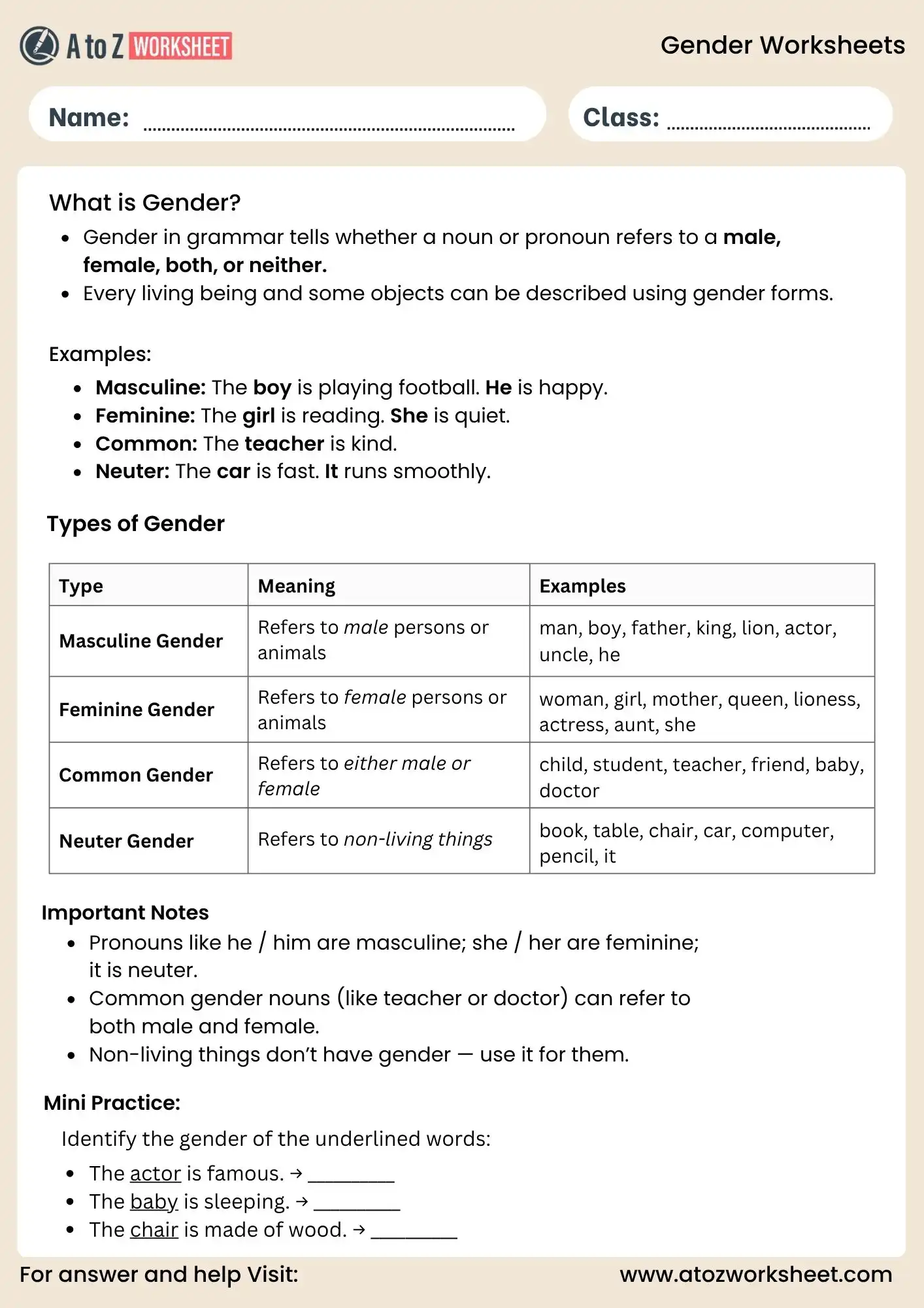 gender worksheets grammar for kids