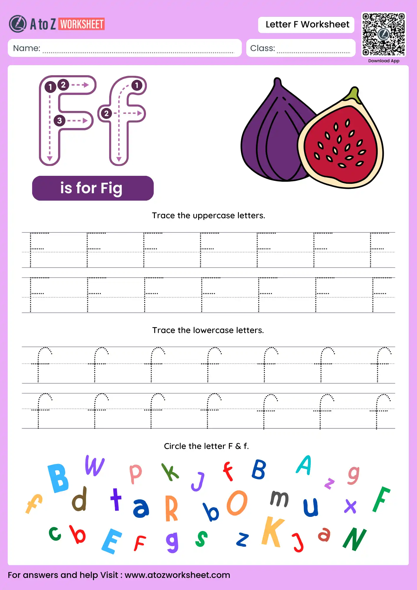 letter f worksheets for kindergarten with fig and alphabet search