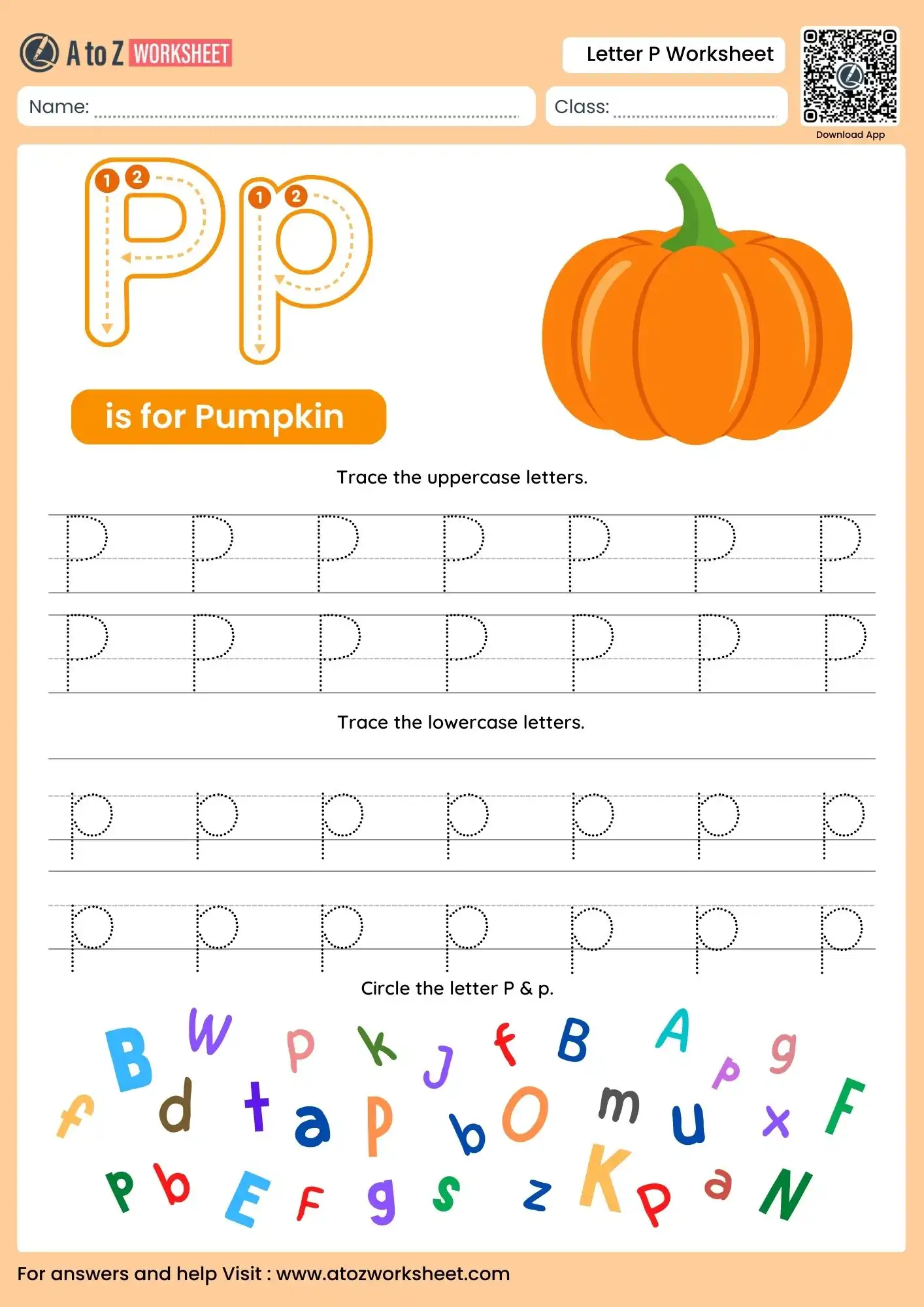 letter p worksheets for kindergarten with a panda and alphabet search