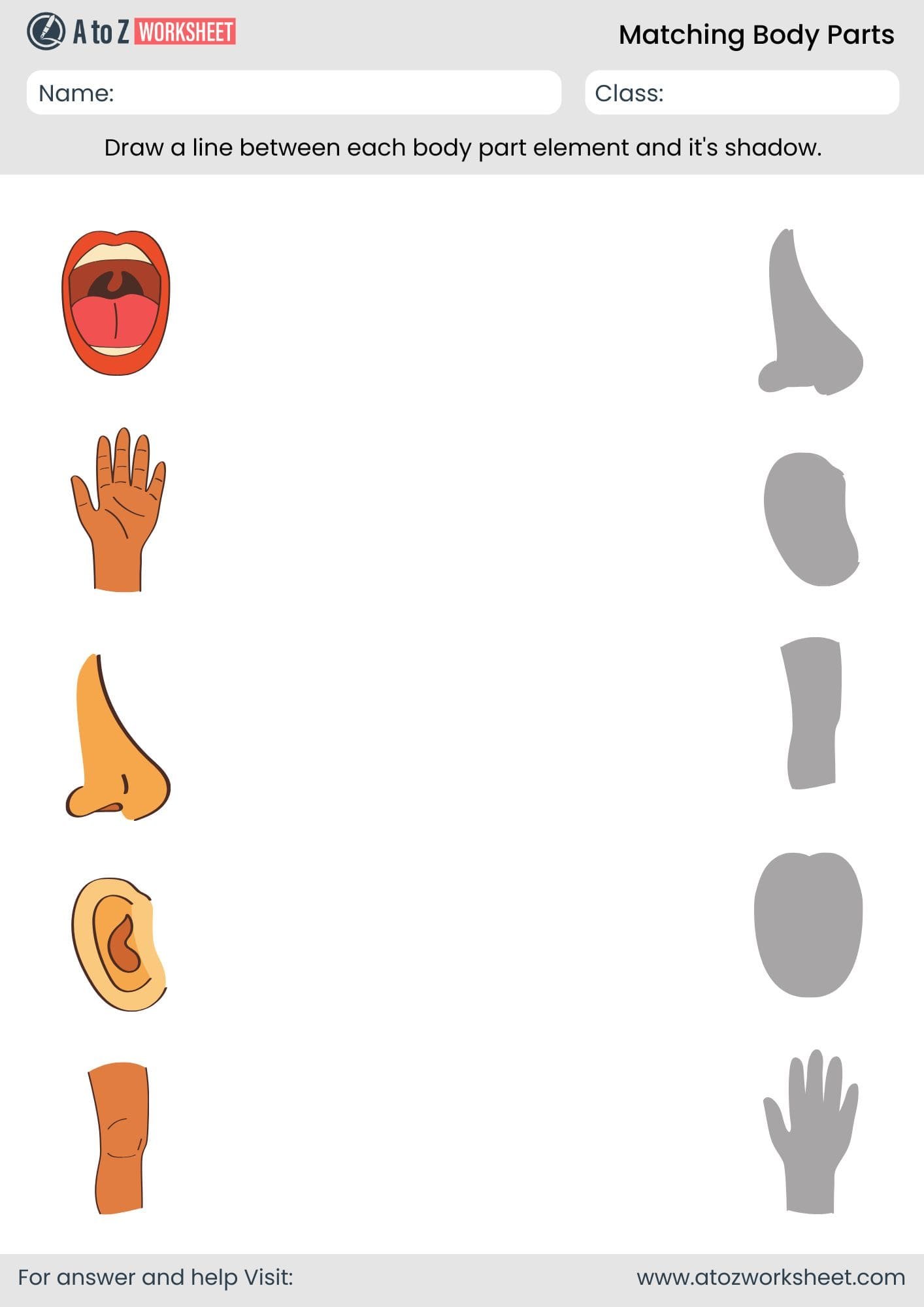 matching body parts worksheet for kindergarten and nursery