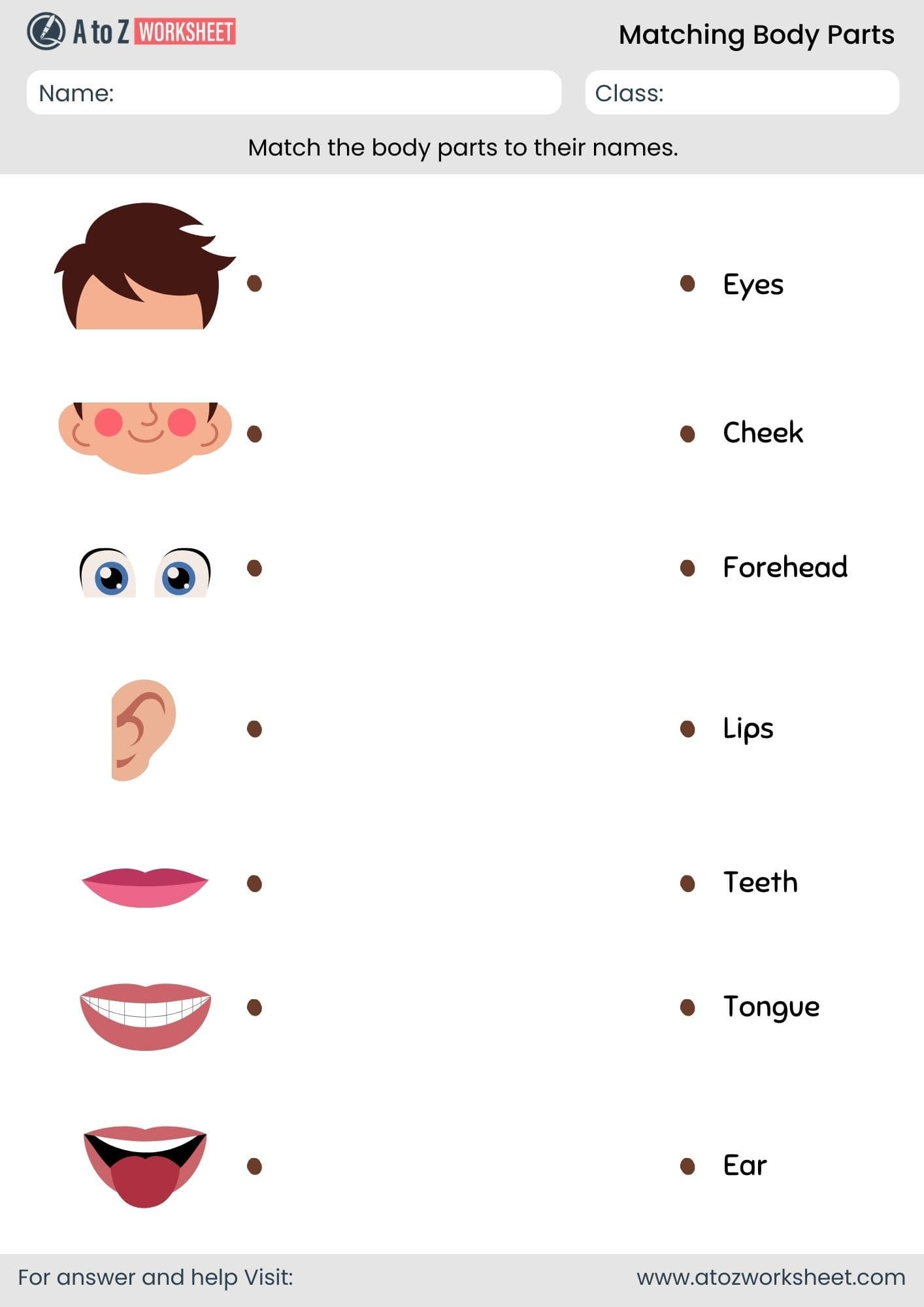 matching body parts worksheet for kindergarten and nursery