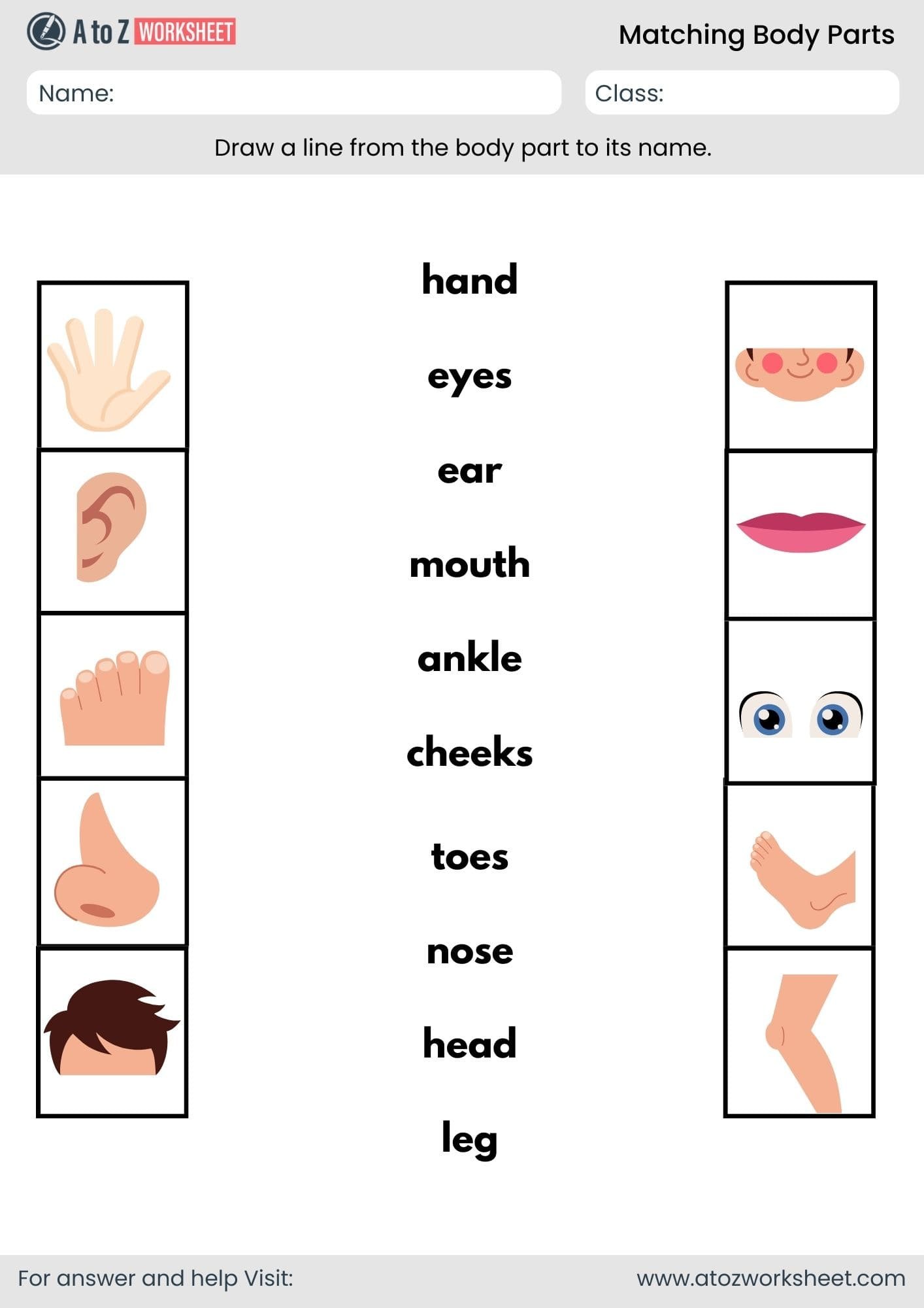 matching body parts worksheet for kindergarten and nursery