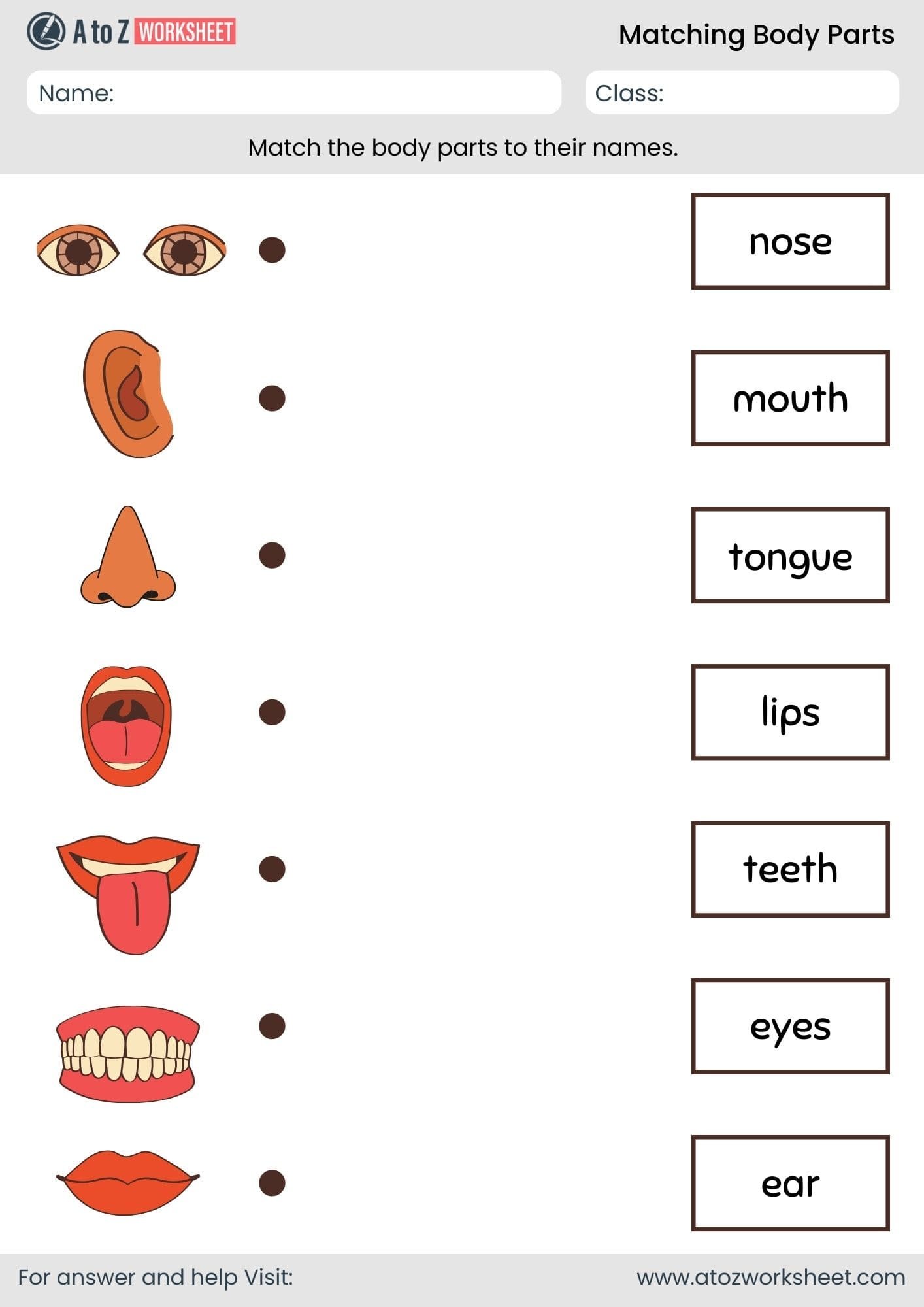 matching body parts worksheet for kindergarten and nursery