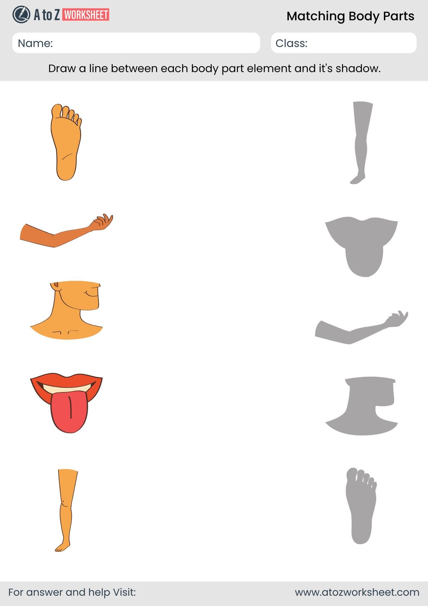 matching body parts worksheet for kindergarten and nursery