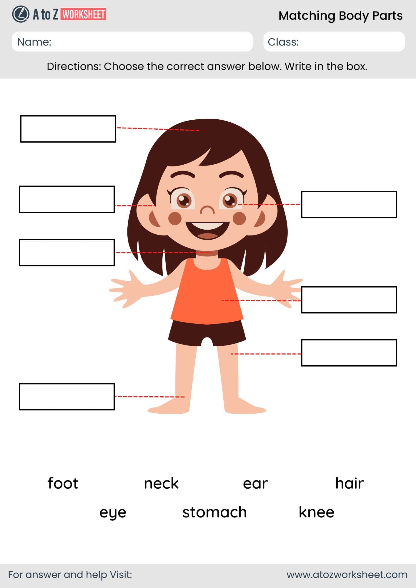 matching body parts worksheet for kindergarten and nursery