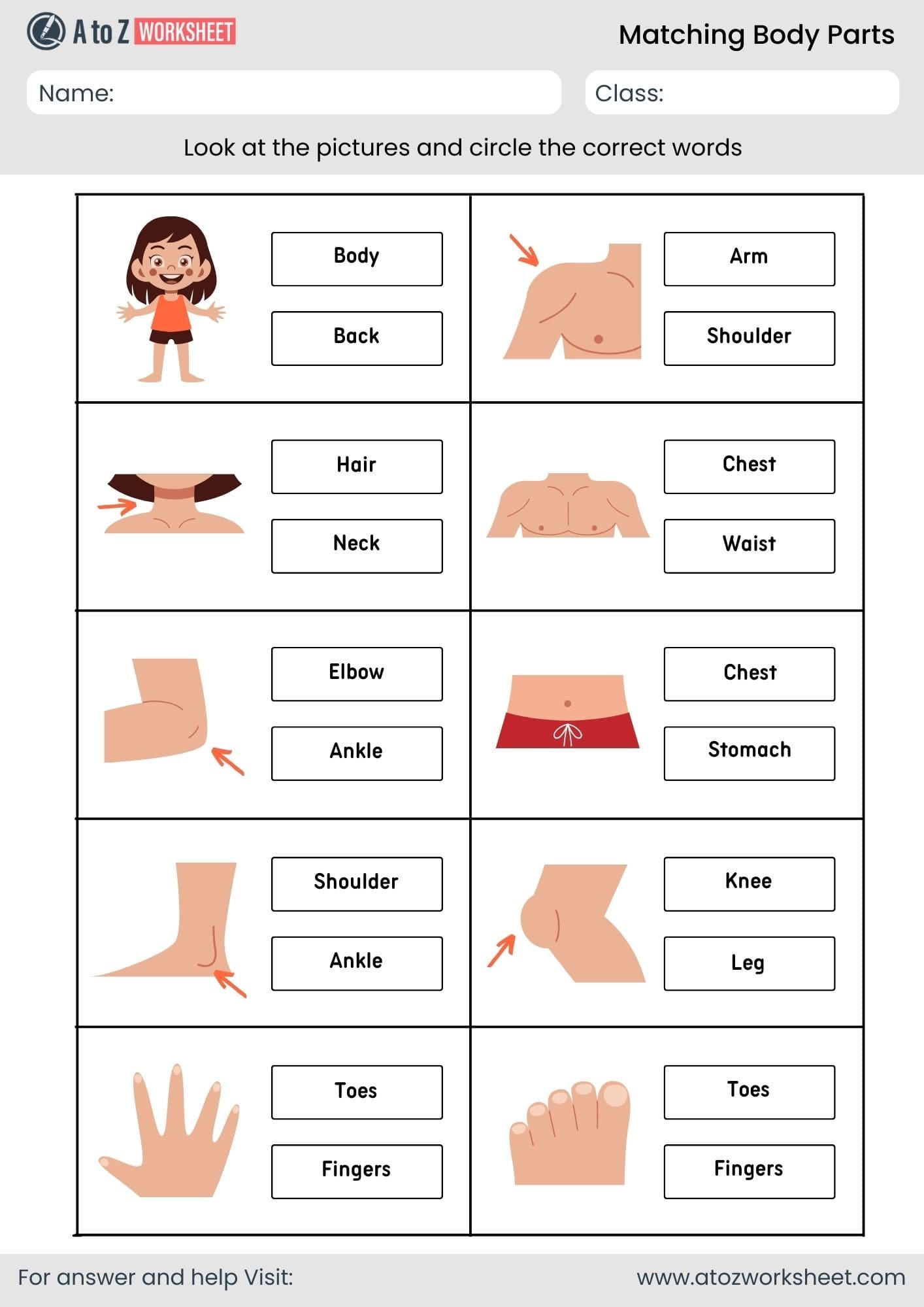 matching body parts worksheet for kindergarten and nursery