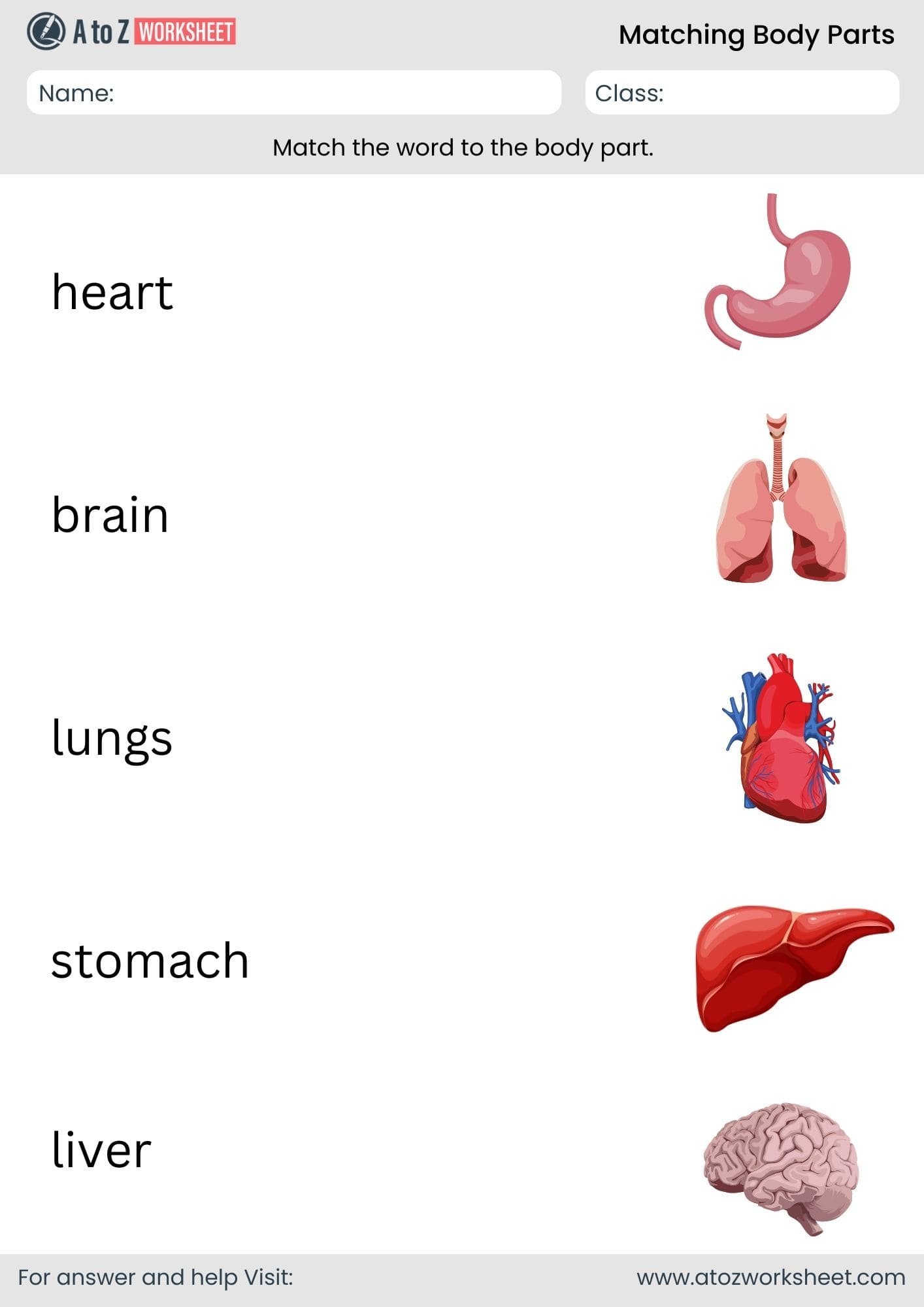 matching body parts worksheet for kindergarten and nursery