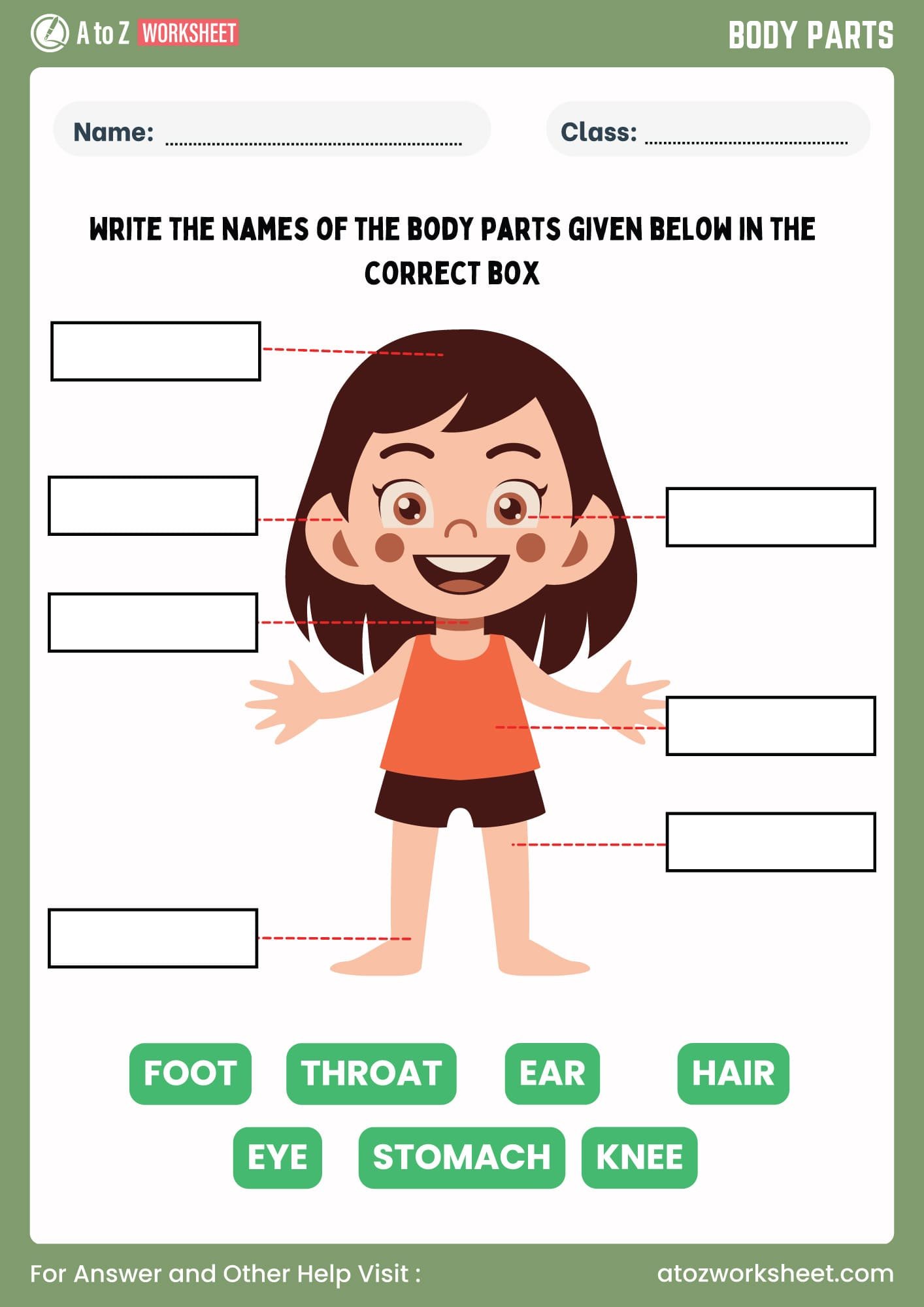 body parts name worksheet for ukg, lkg, kindergarten and nursery