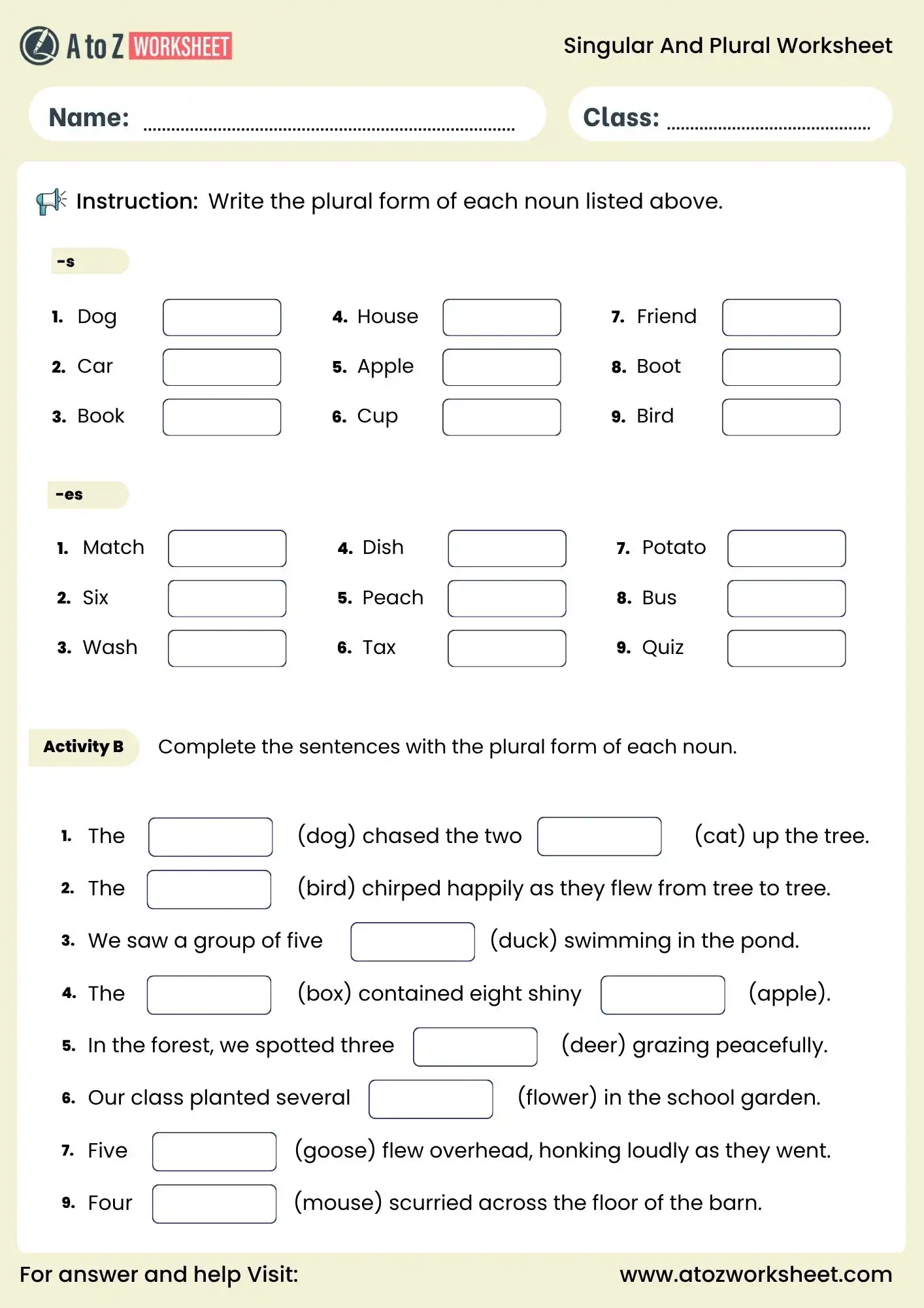 singular and plural nouns worksheet with es and s ending exercises