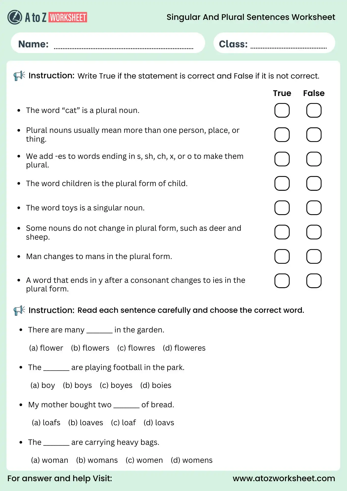 singular and plural sentences worksheet true false and mcq for class 5