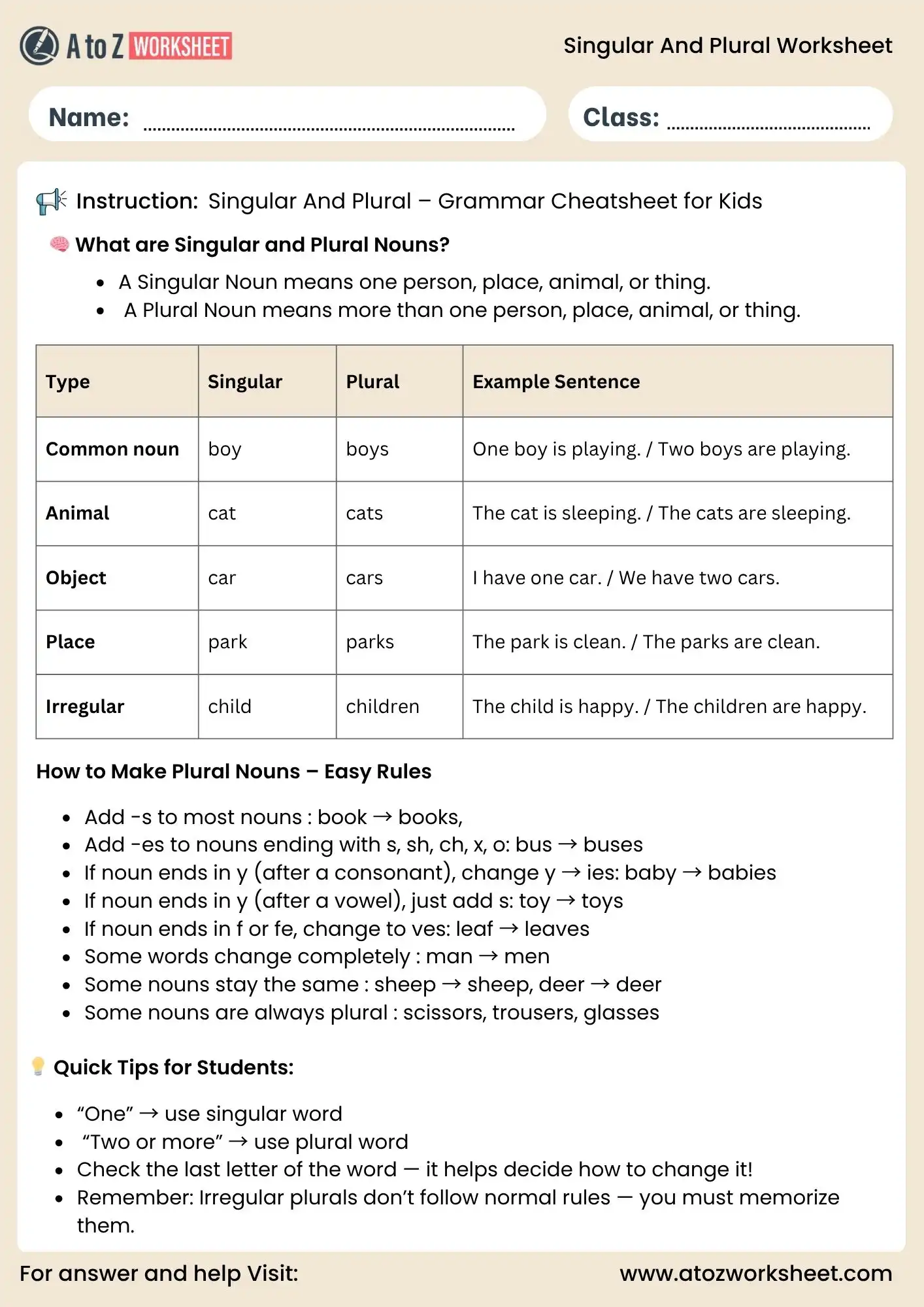 singular and plural worksheets for class 3 and class 4 grammar chart
