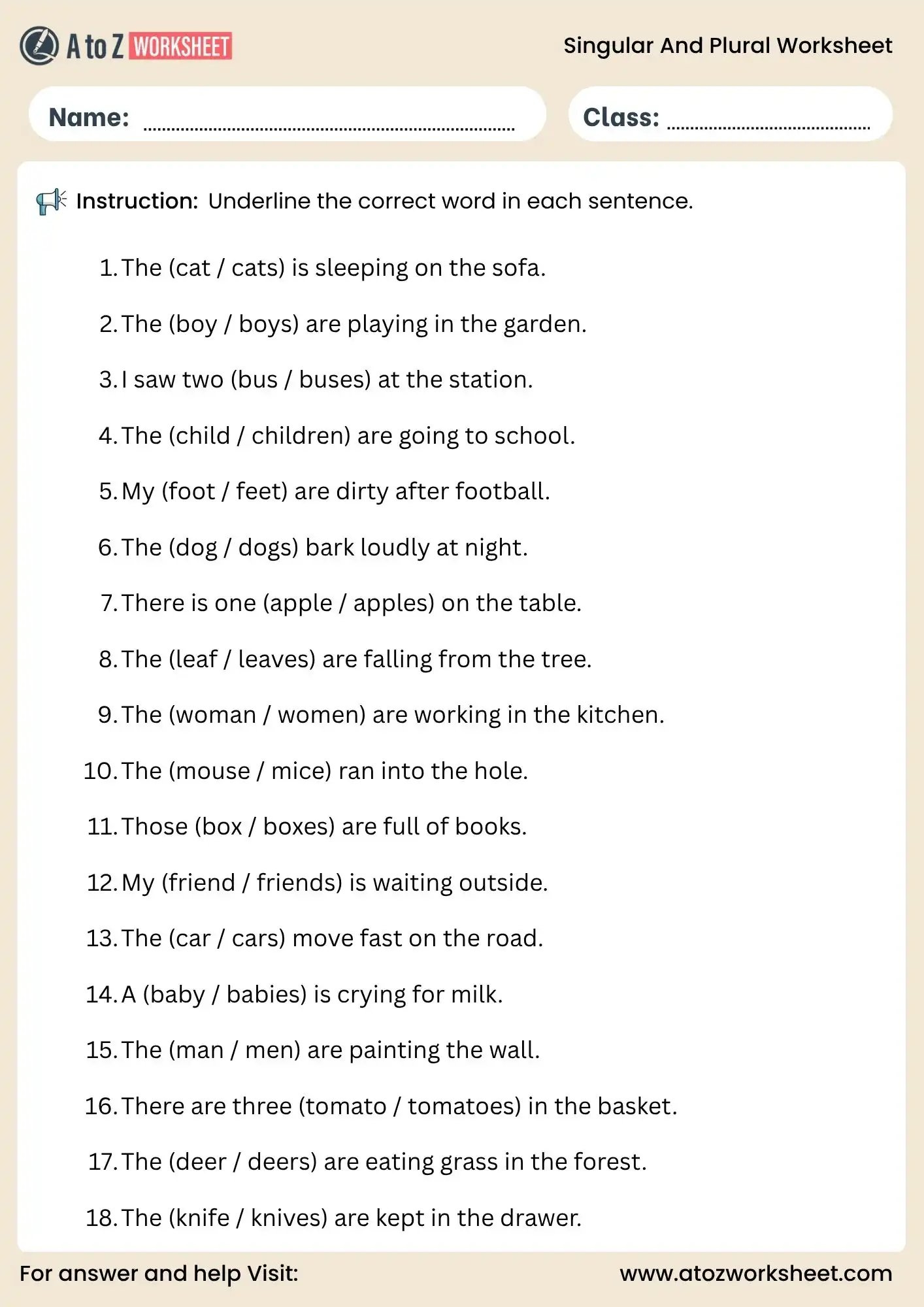 singular and plural worksheets for class 3 and class 4 underline exercise