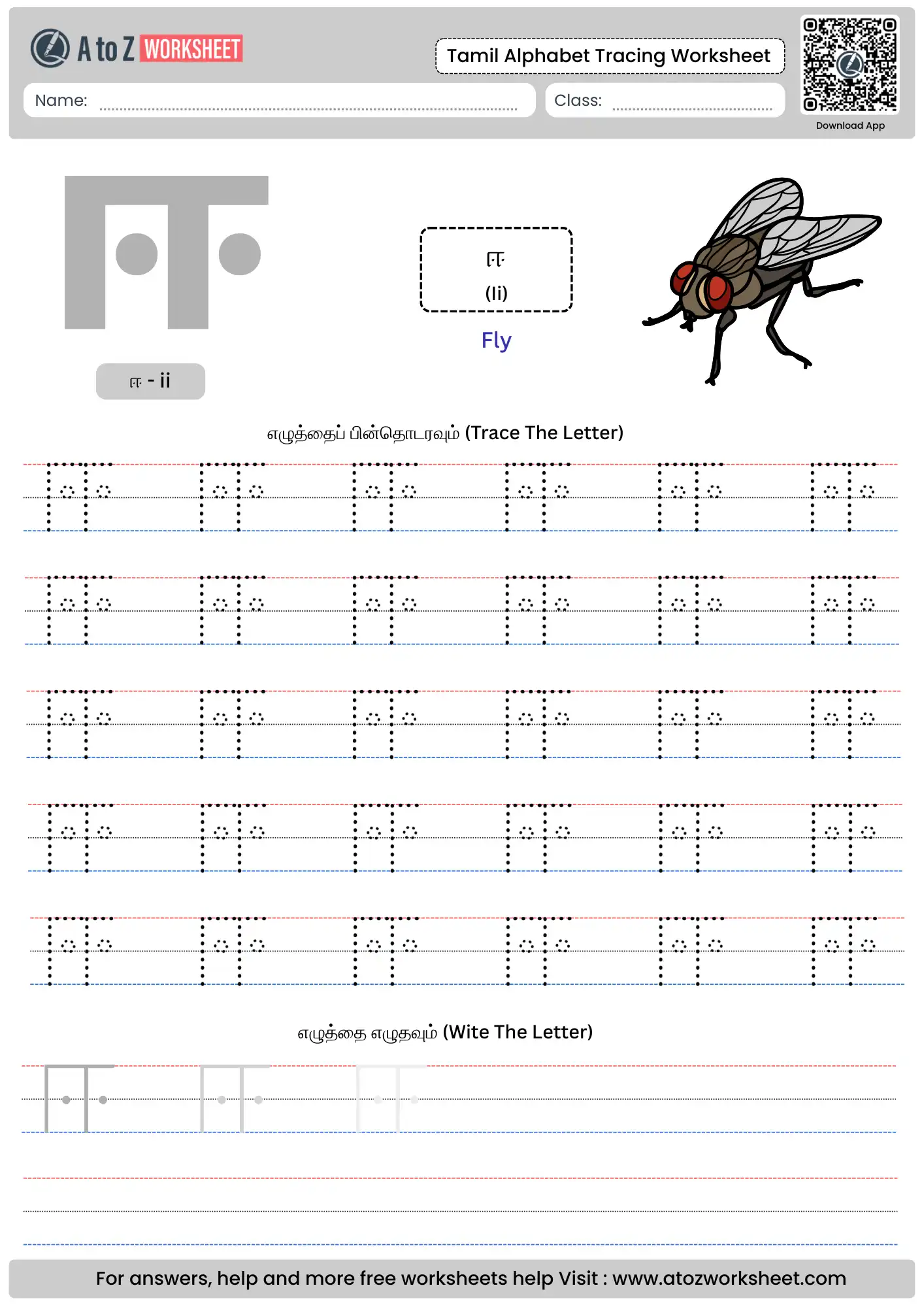 handwriting practice for ii in tamil alphabet letters tracing worksheets with a fly image.