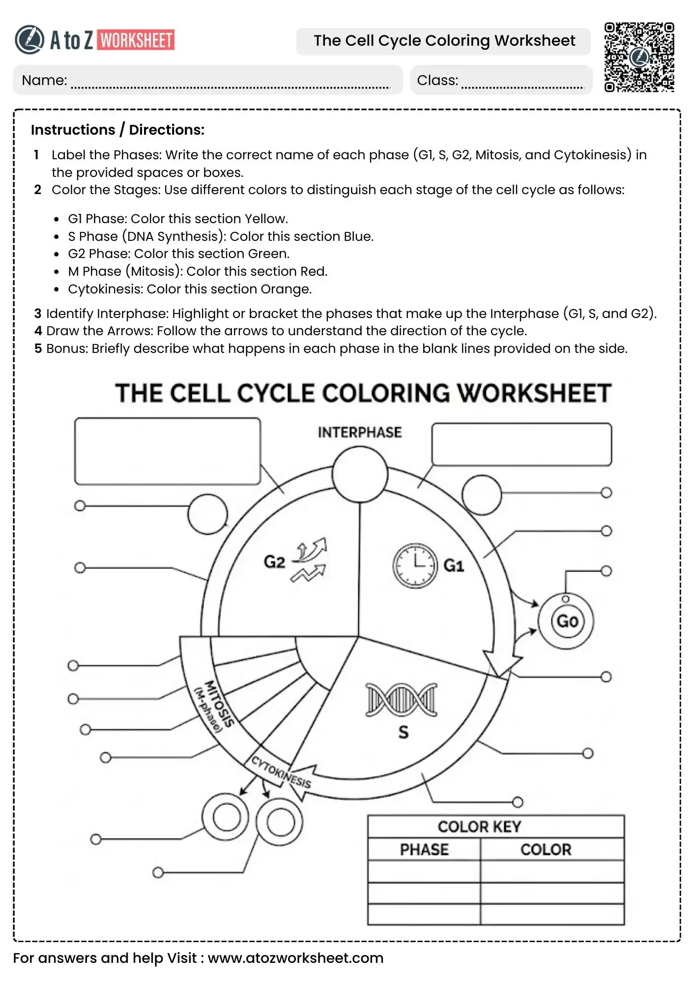 complete the cell cycle coloring worksheets for labeling