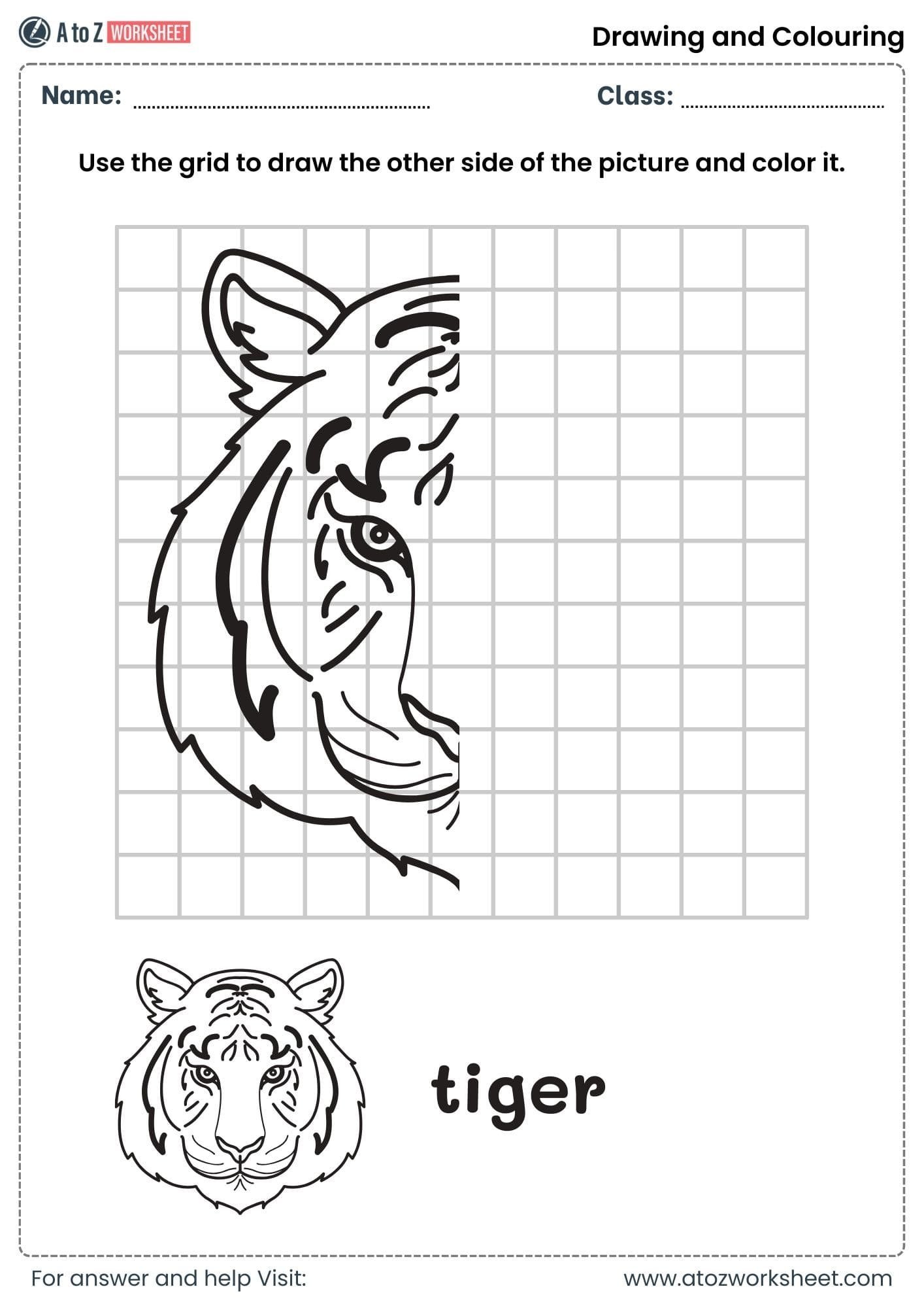 draw tiger using grid drawing and colouring worksheets class 3