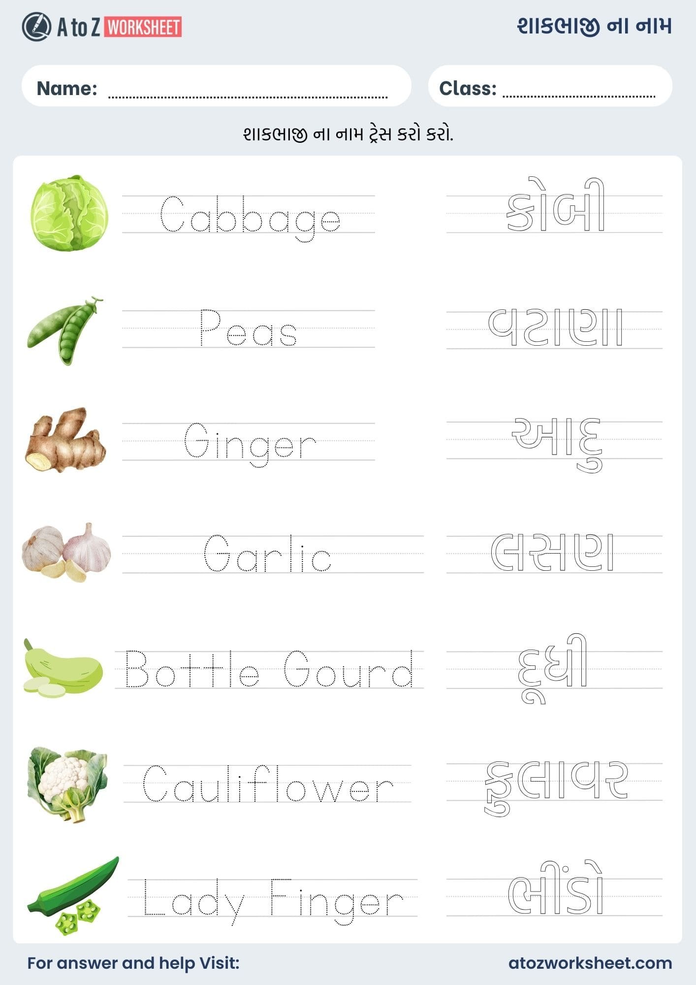 vegetables name in gujarati and worksheet for kids