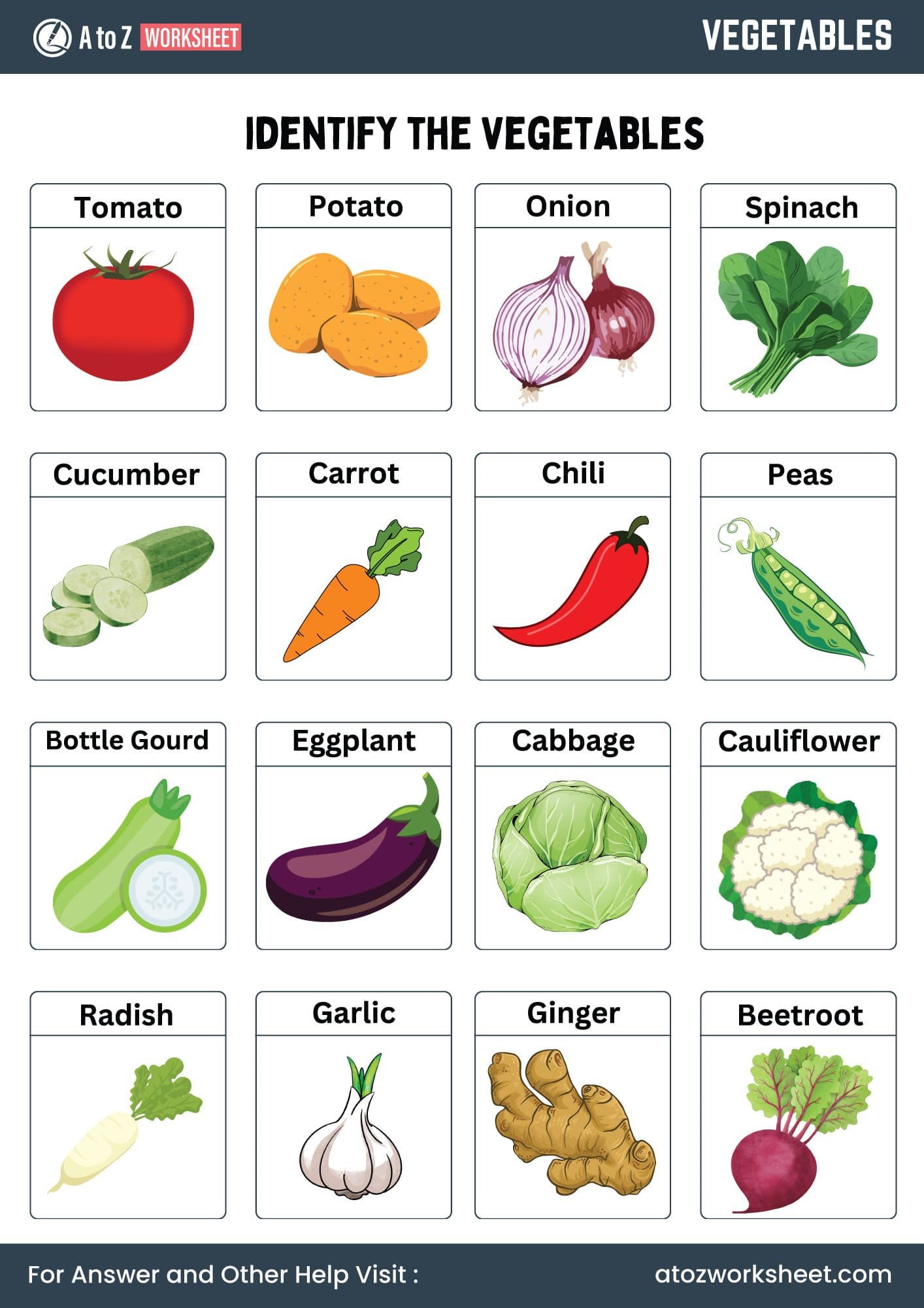 20+ Free Fruits and Vegetables Worksheets 2 vegetables name worksheets chart for nursery, lkg and ukg kids